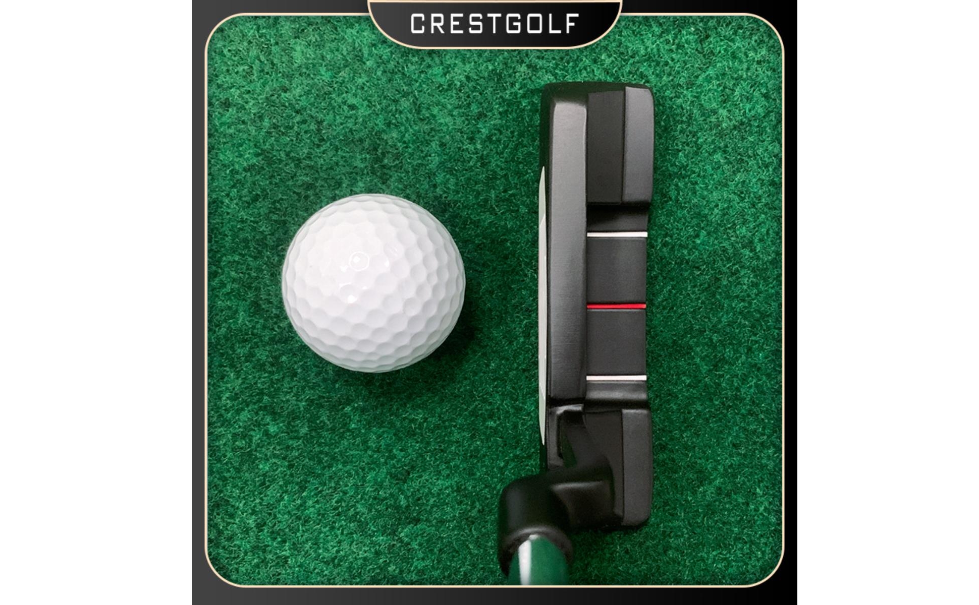 Zinc Alloy Putter Indoor and Outdoor Use Golf Practice Putter for Training, Men