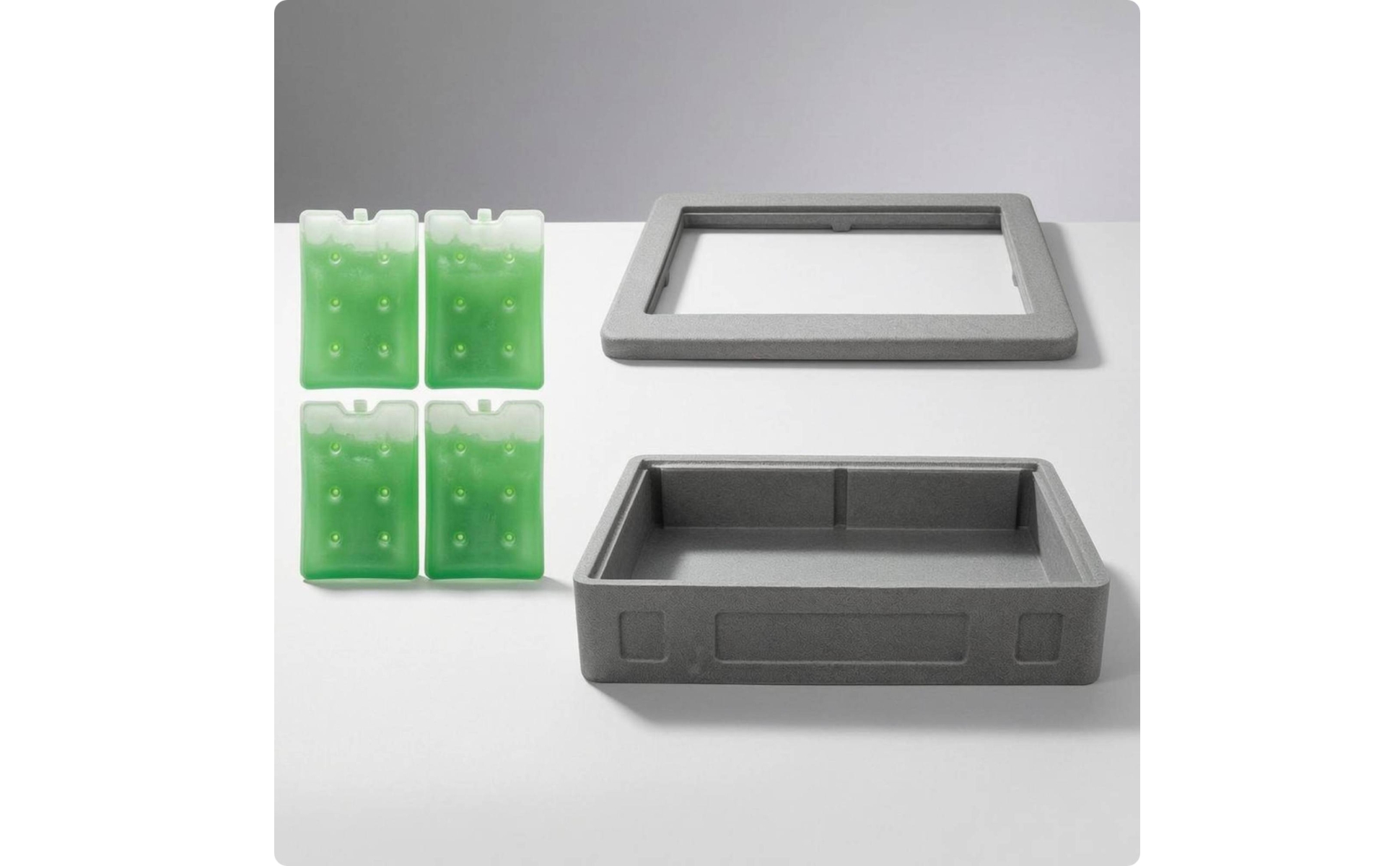 Insulated Food Warmer Box Transparent Lid Thermal Food Carrier 4 Ice Boards