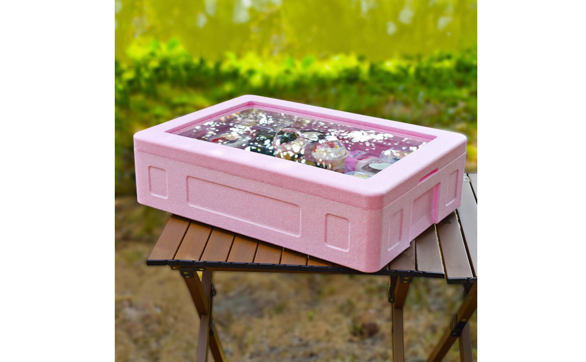 Insulated Food Warmer Box Transparent Lid Thermal Food Carrier 4 Ice Boards