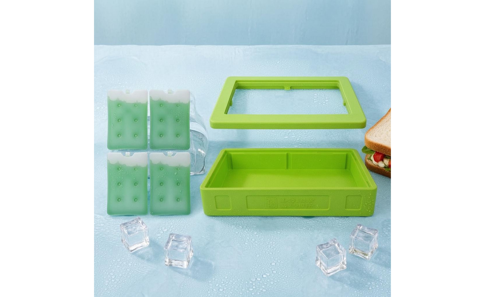 Insulated Food Warmer Box Transparent Lid Thermal Food Carrier 4 Ice Boards