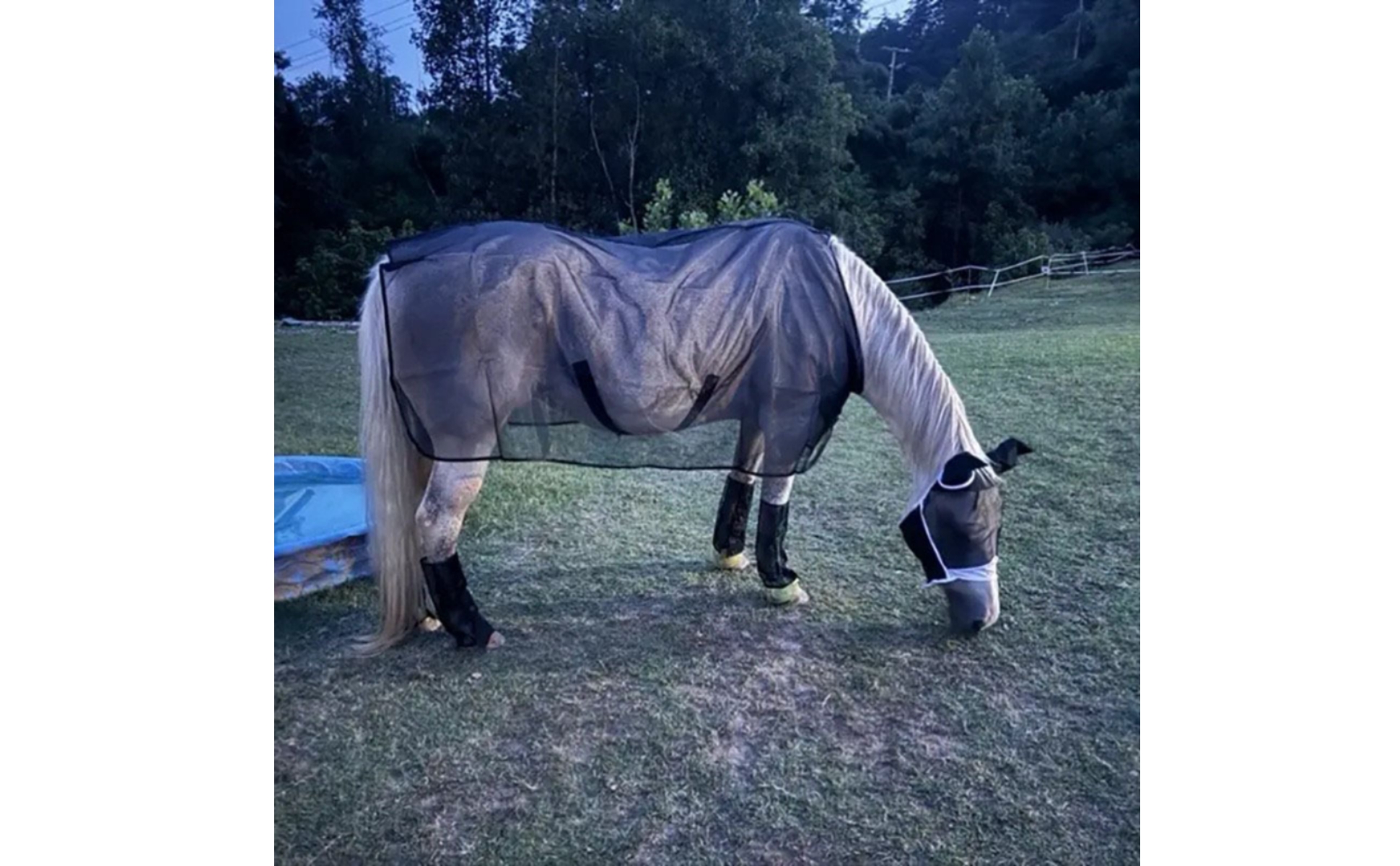 Mesh Horse Blanket Lightweight Horse Fly Sheet Breathable