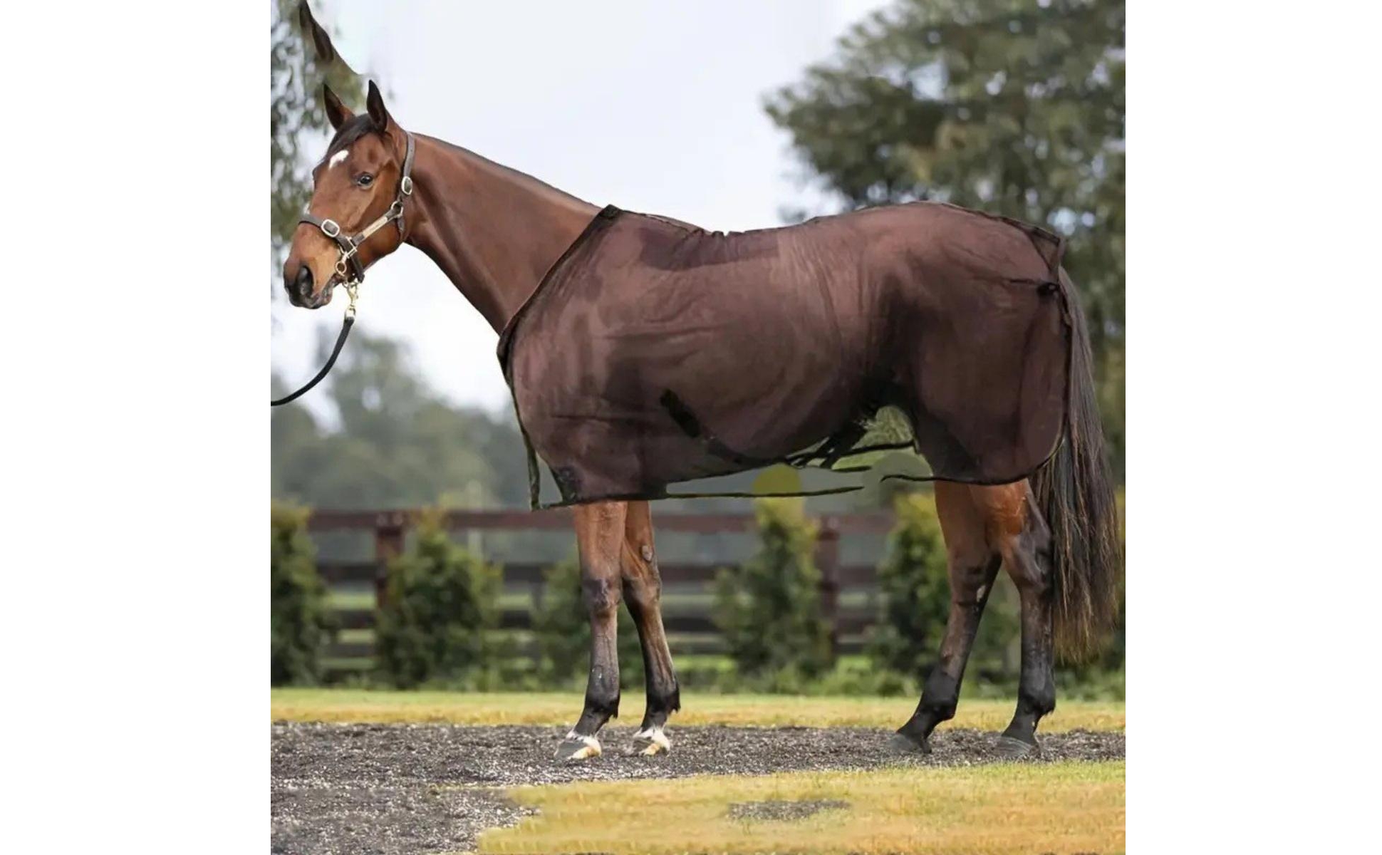Mesh Horse Blanket Lightweight Horse Fly Sheet Breathable