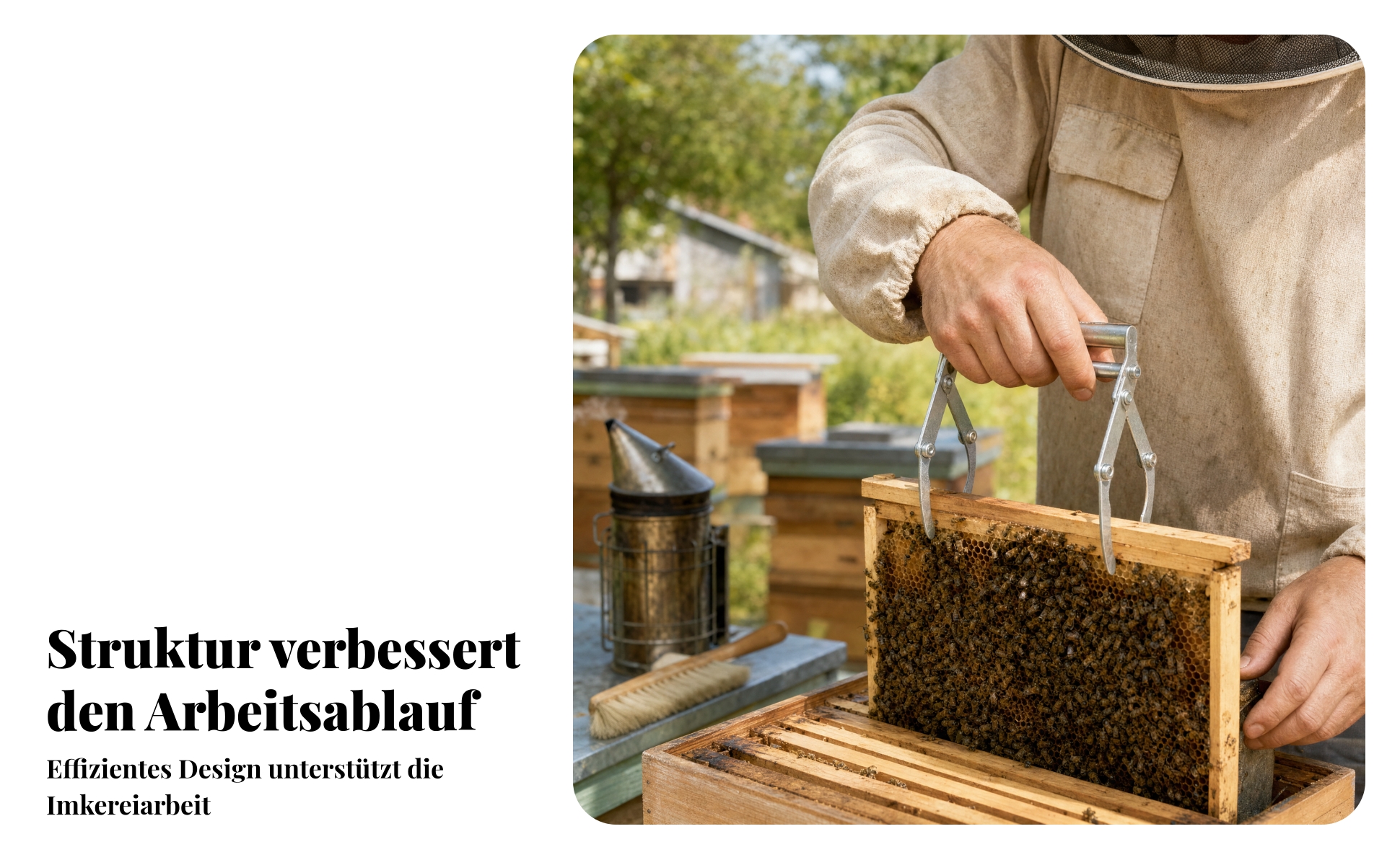 Bienenstockrahmenheber Verzinkt Rahmenklemme Zwei Klemmbacken für Imker