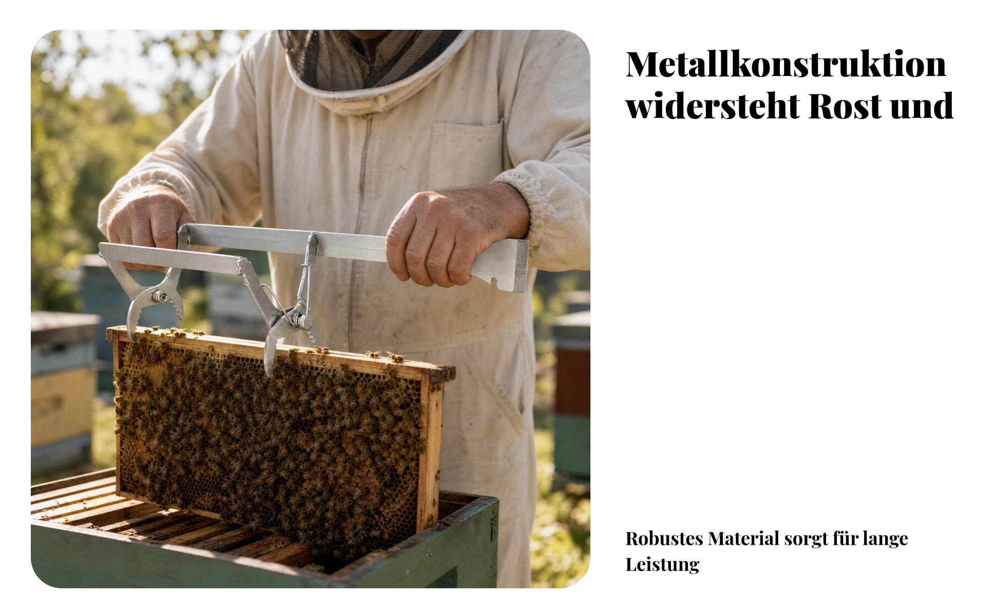Bienenstockrahmenheber Verzinkt Rahmenklemme Zwei Klemmbacken für Imker