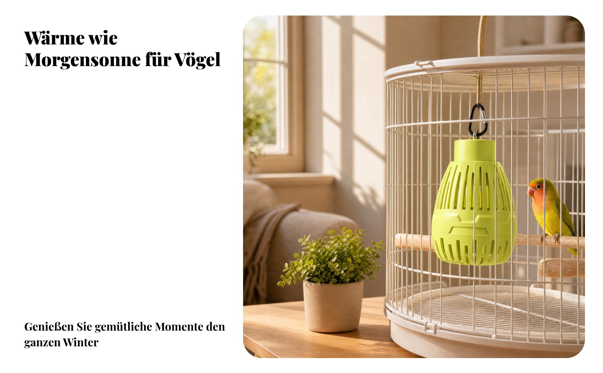 Vogelheizlampe Belüftet Belüftete Heizlampe Hängend