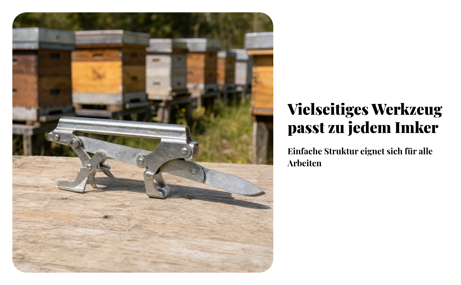 Bienenstockrahmenheber Verzinkt Rahmenklemme Zwei Klemmbacken für Imker