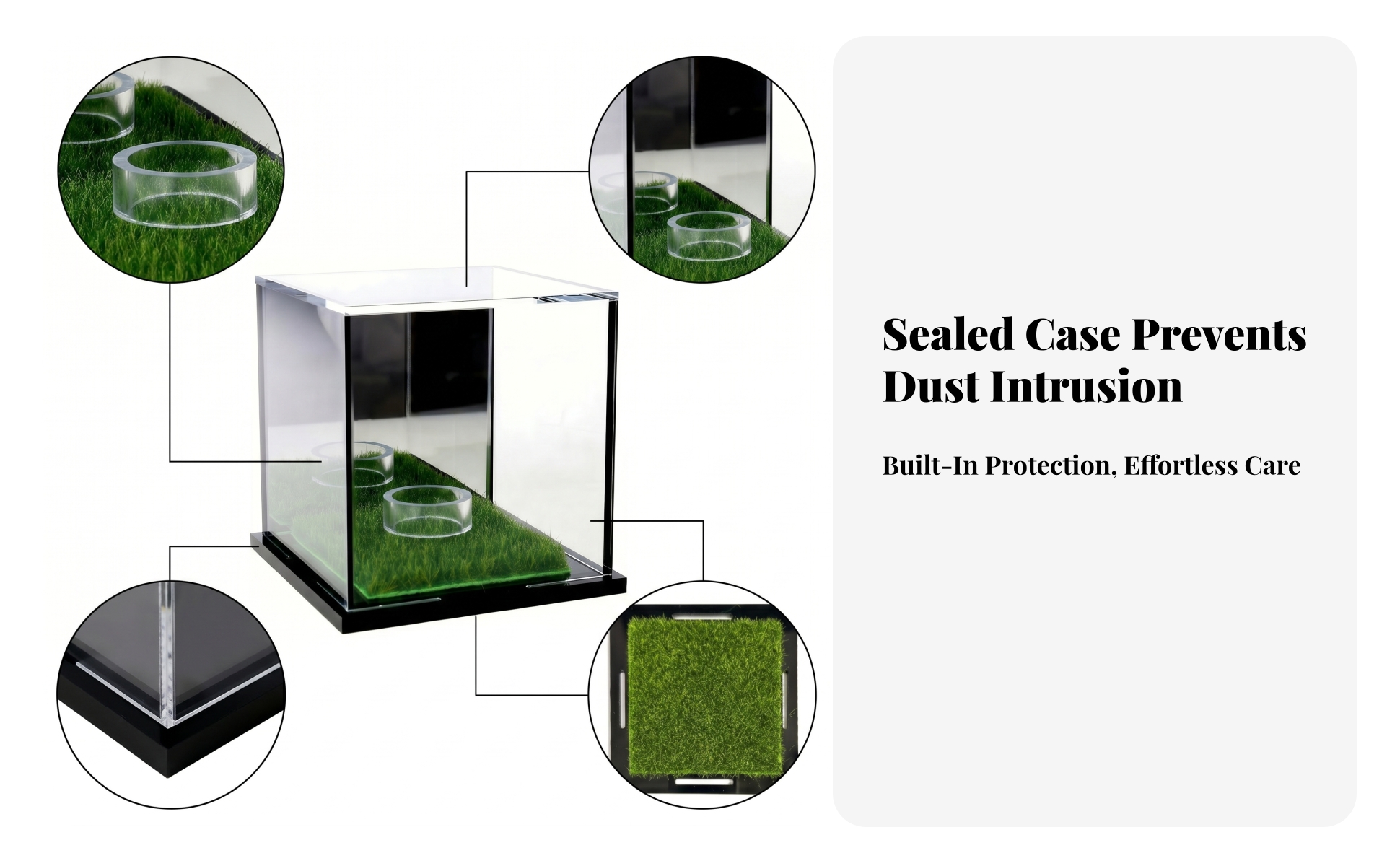 Grass-Lined Display Case Black Base Acrylic Display Case Mirrored Finish