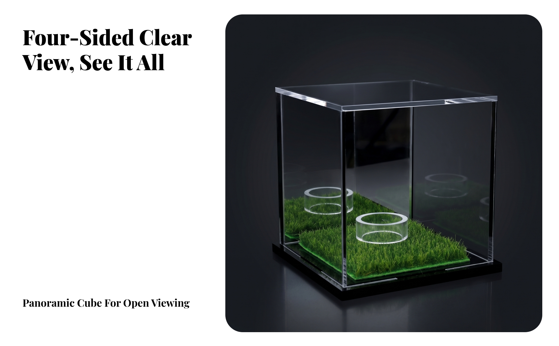 Grass-Lined Display Case Black Base Acrylic Display Case Mirrored Finish