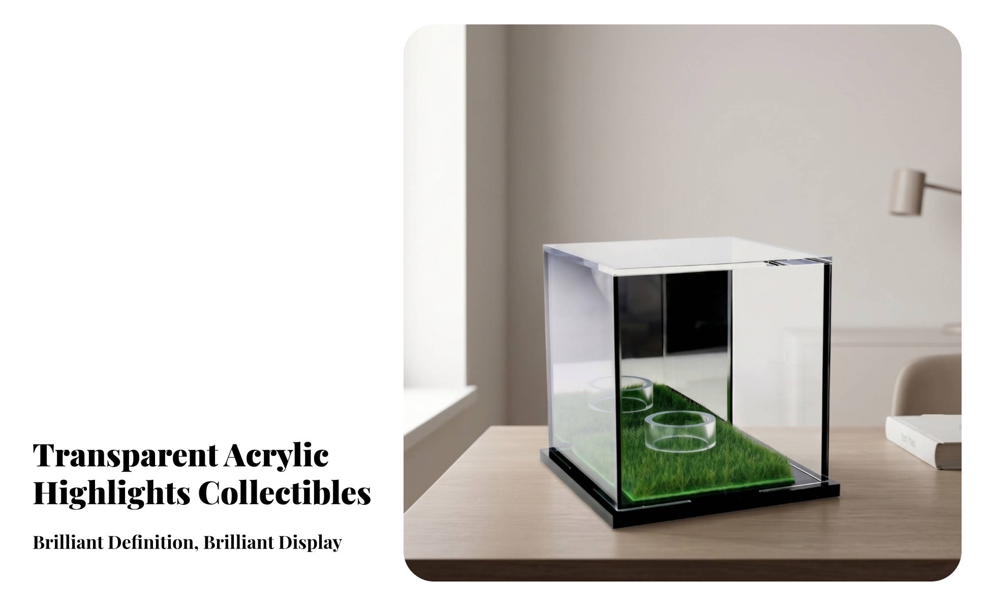 Grass-Lined Display Case Black Base Acrylic Display Case Mirrored Finish