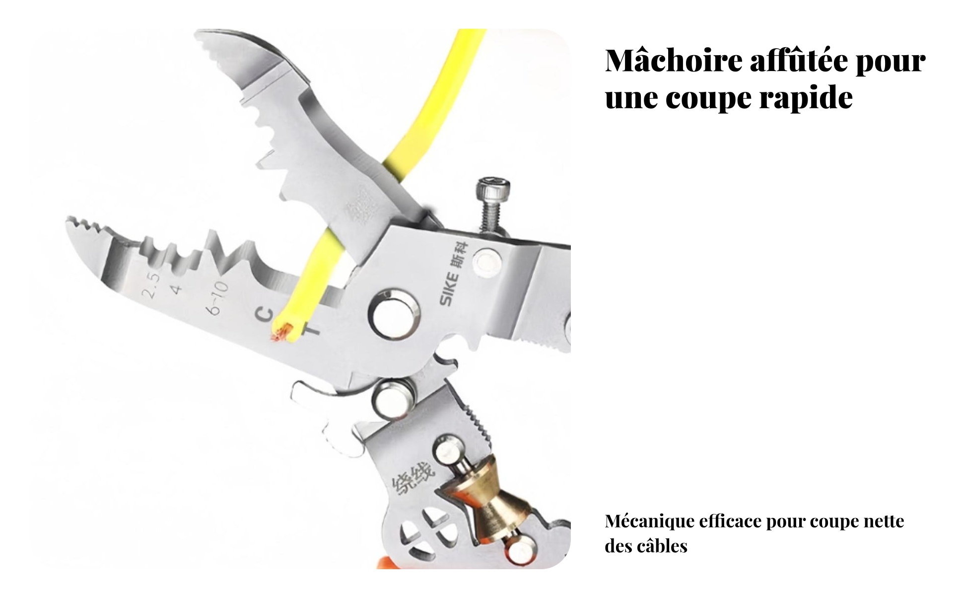 Pince à Dénuder à Poulie Centrale Manches Isolés Pince à Dénuder Multifonction