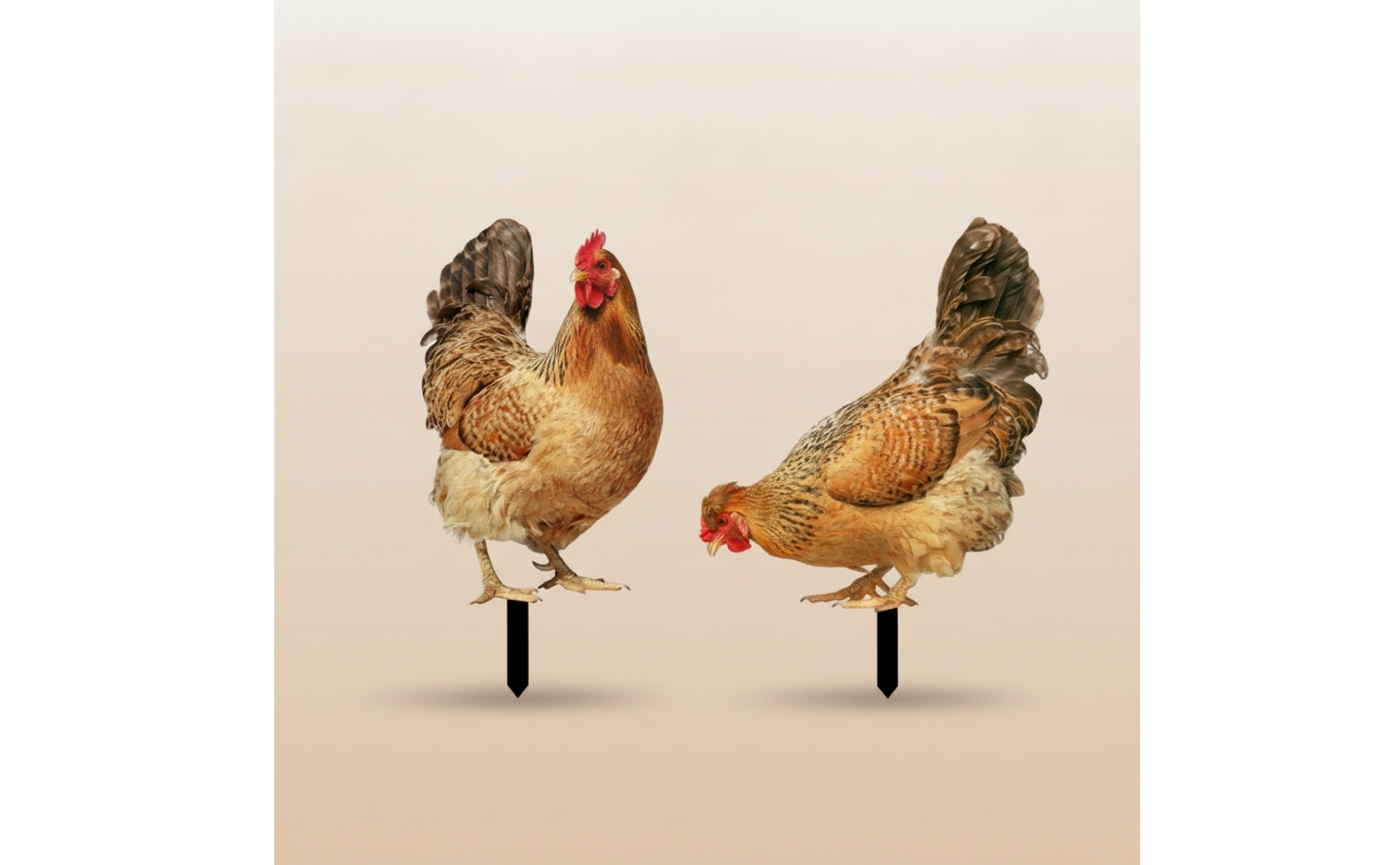 2 Pieces Chicken Garden Stakes Acrylic Chicken Yard Art Printed for Flower Beds