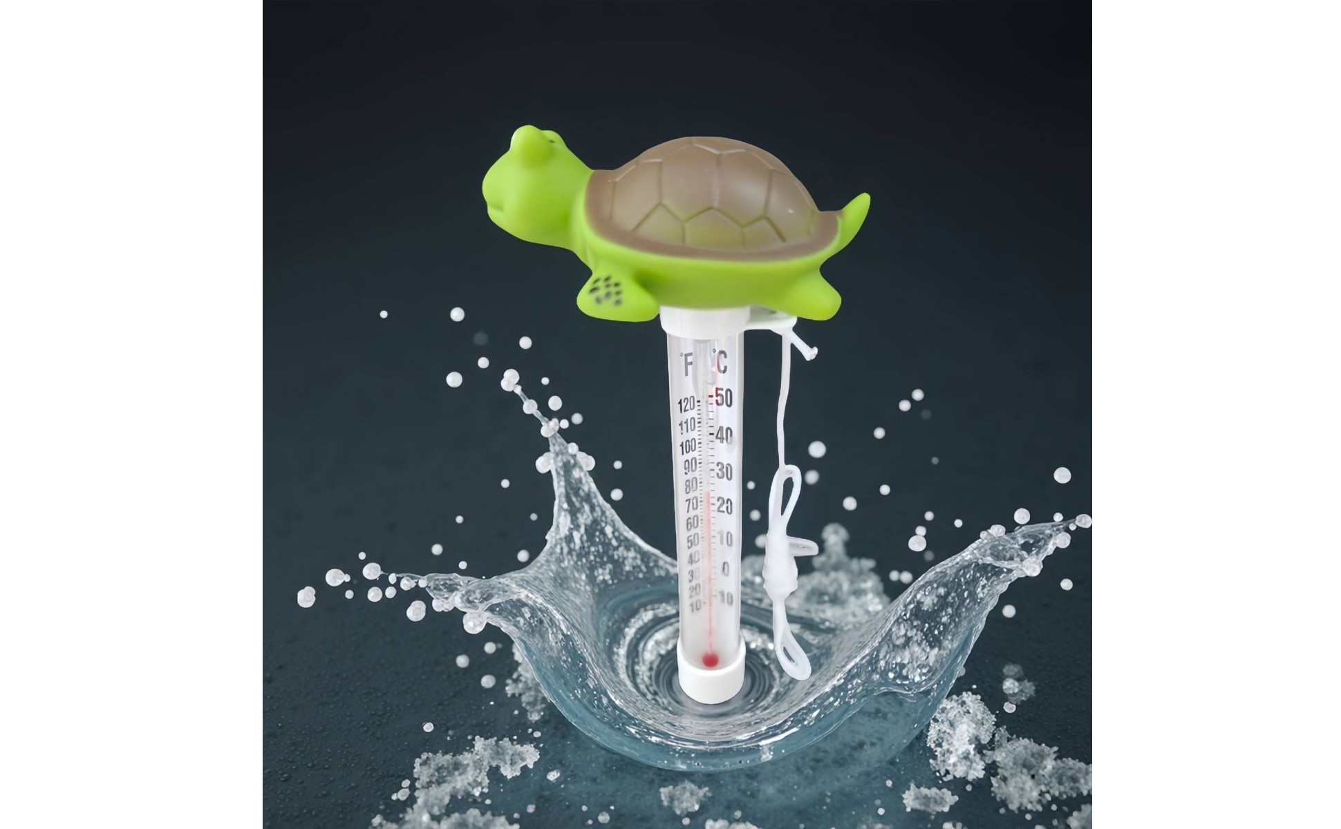 Schwimmendes Thermometer mit Schildkröte schwimmend Schwimmthermometer Analog