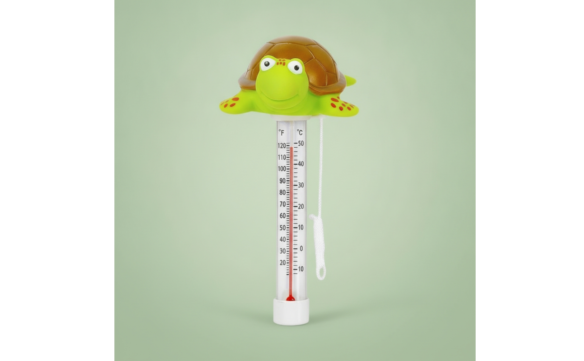 Schwimmendes Thermometer mit Schildkröte schwimmend Schwimmthermometer Analog