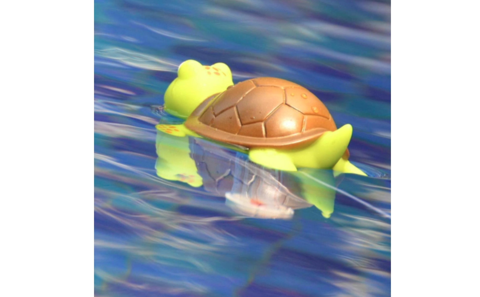 Schwimmendes Thermometer mit Schildkröte schwimmend Schwimmthermometer Analog
