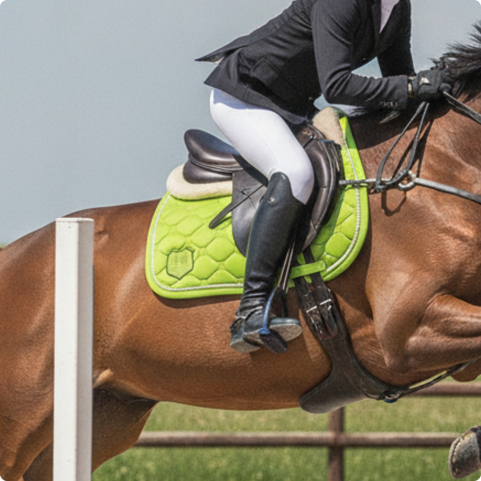 Saddle Pad with Piping Stay-in-Place Tack Non-Slip for Daily Training, Riders