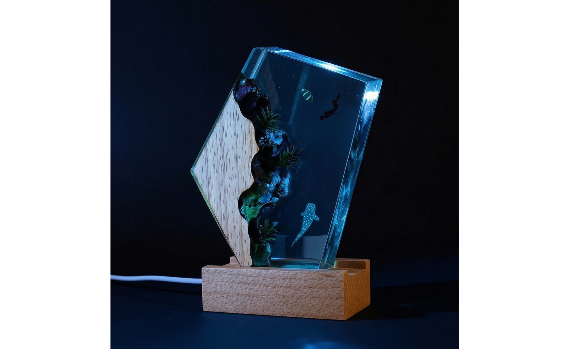 Ocean Night Light with Acrylic Panel Underwater 3D Night Light with Wood Base