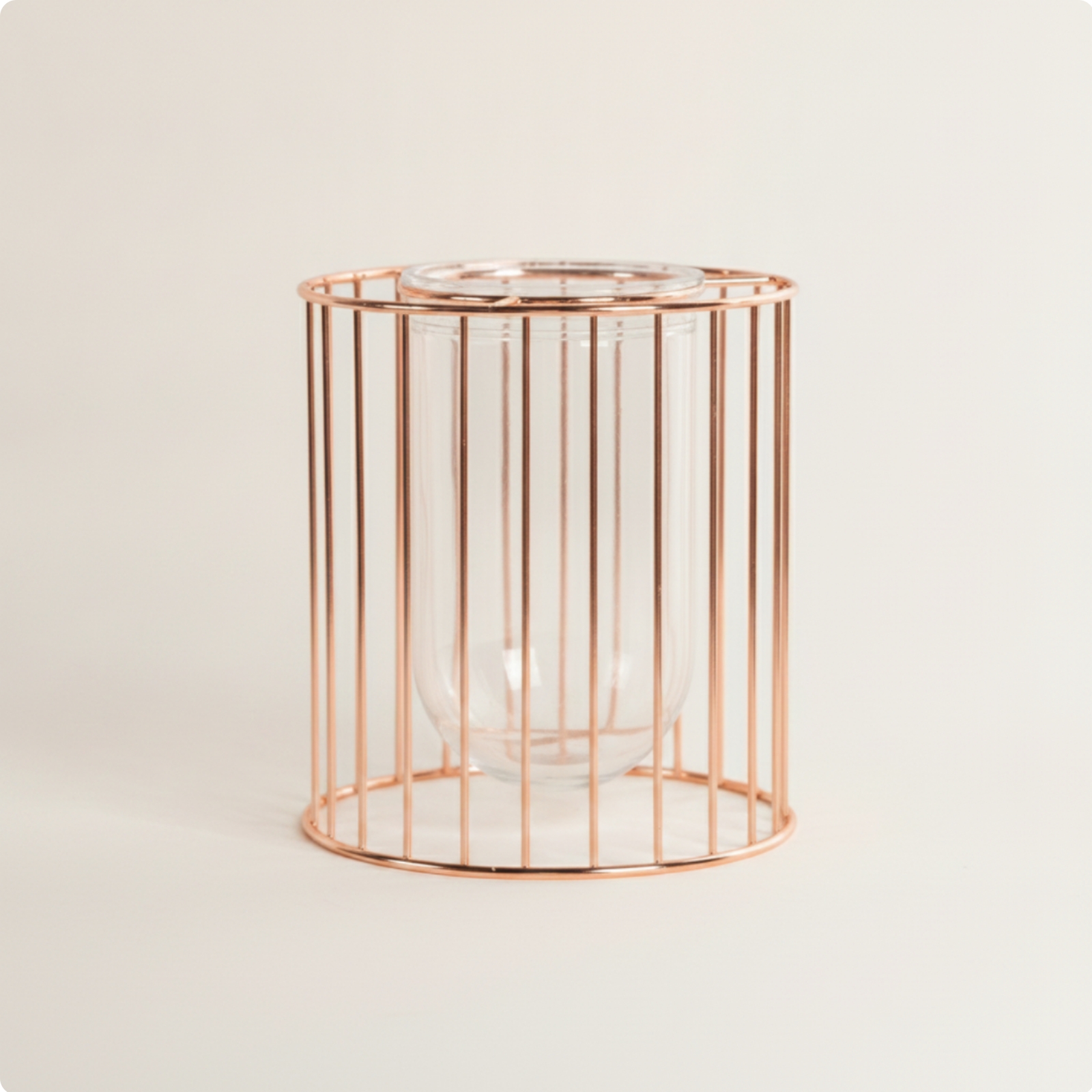 Metal Frame Hydroponic Vase Minimalist Design Transparent Desktop Planter
