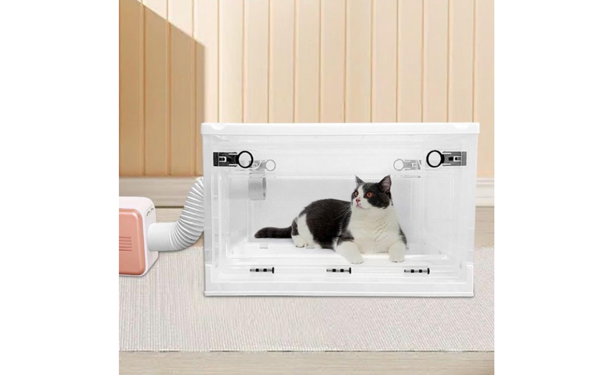 Katzentrockenbox faltbar hundetrockenbox transparent für hundepflege, hundesalon