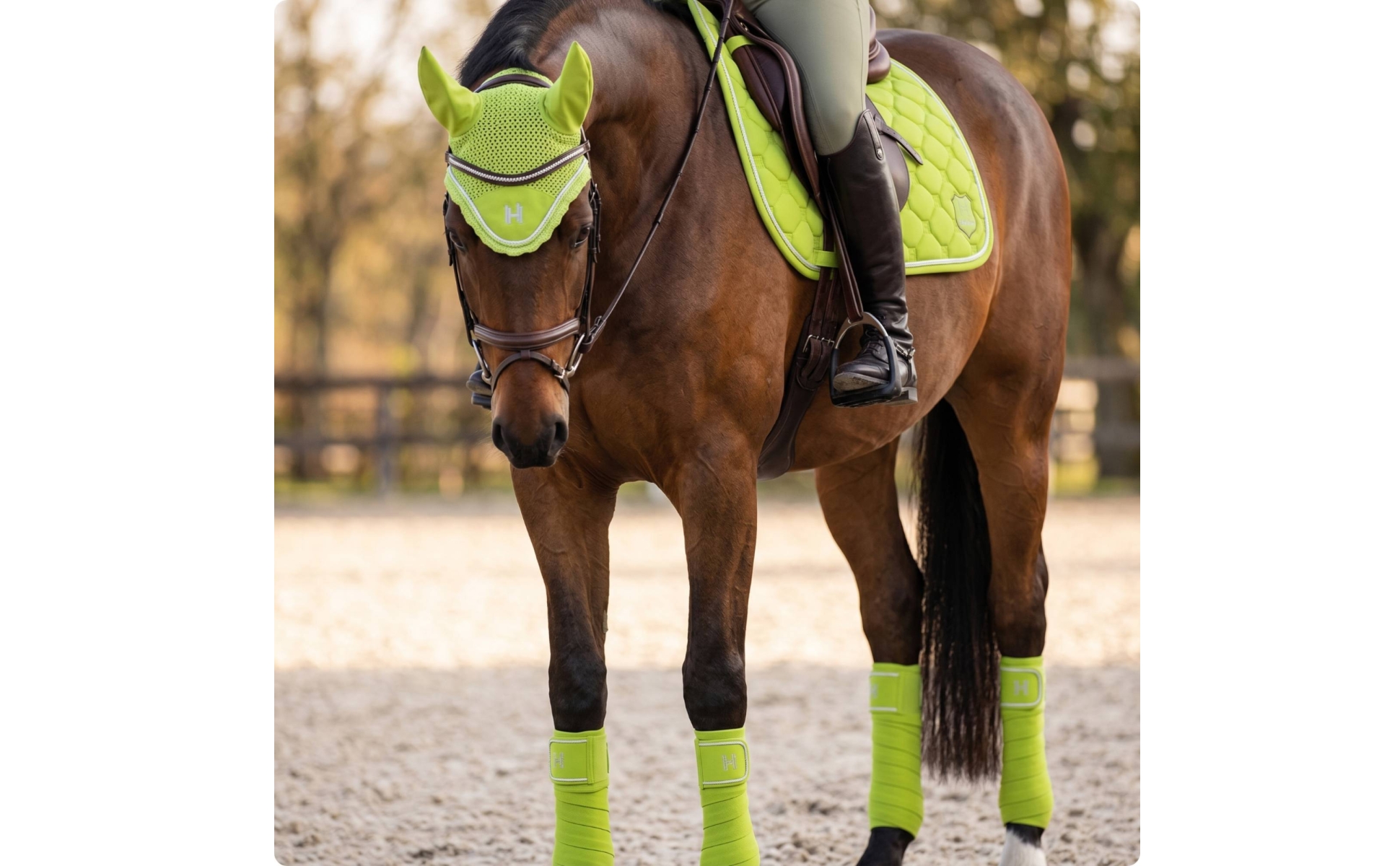 Horse Riding Set with Leg Wraps Quilted Saddle Pad Set with Ear Bonnet Padded
