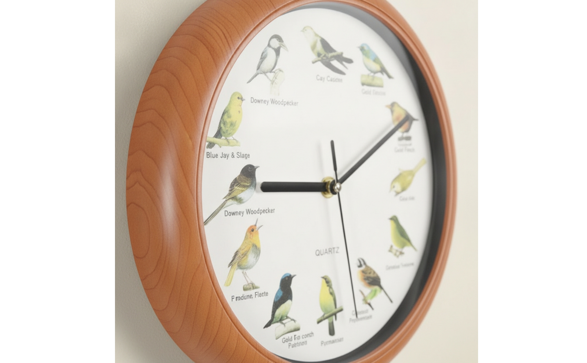 Wall Clock with Bird Sounds Non-Ticking for Living Room, Bedroom