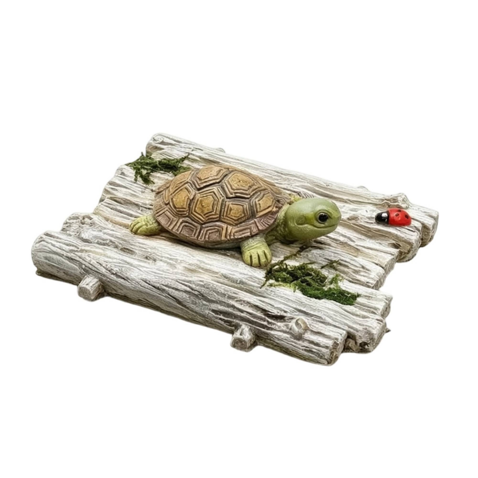 Schildkröte mit Holzboot rustikal Schwimminsel mit Schildkröte detailliert