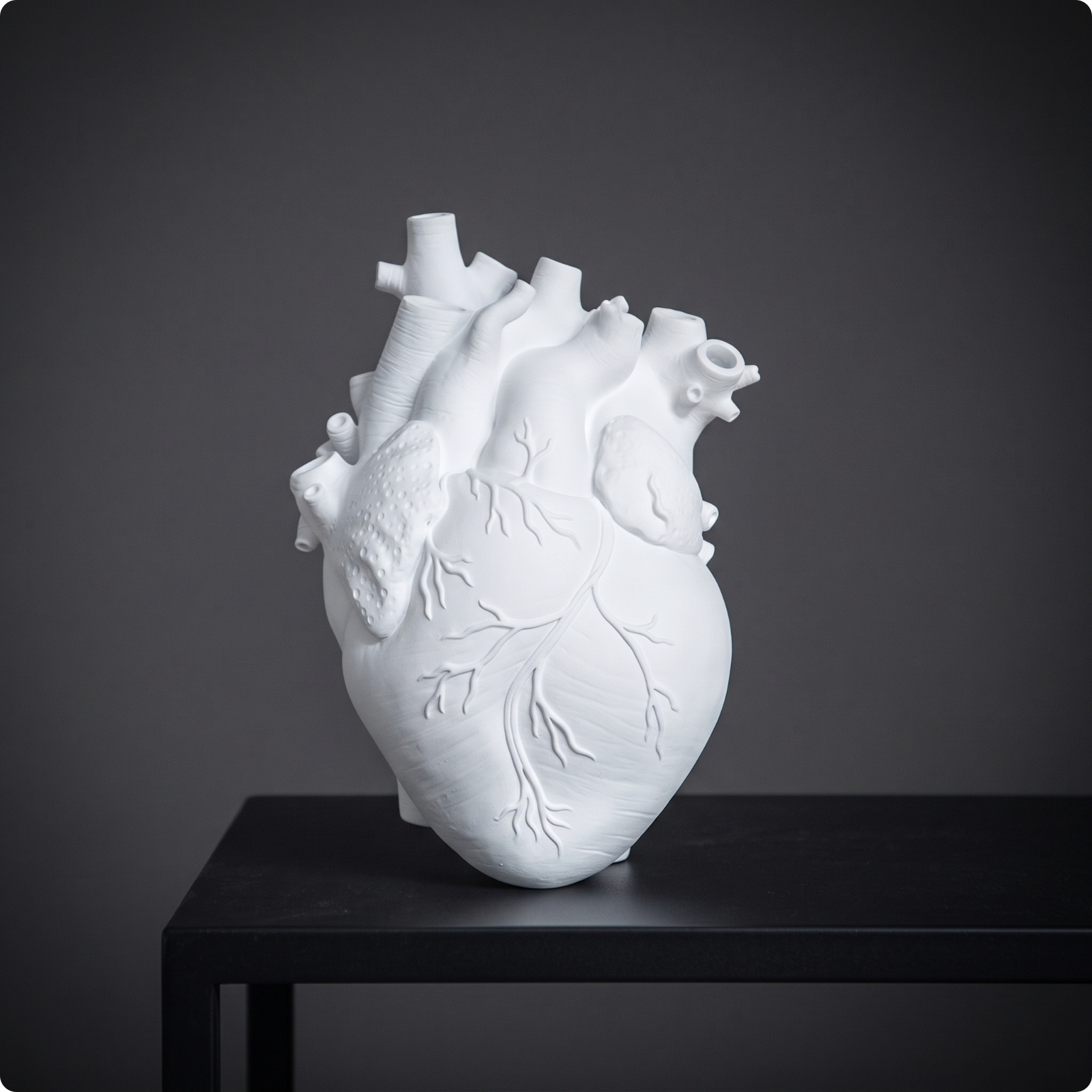 Anatomical Heart Vase Sculpted Heart Vase Realistic for Living Room, Collectors