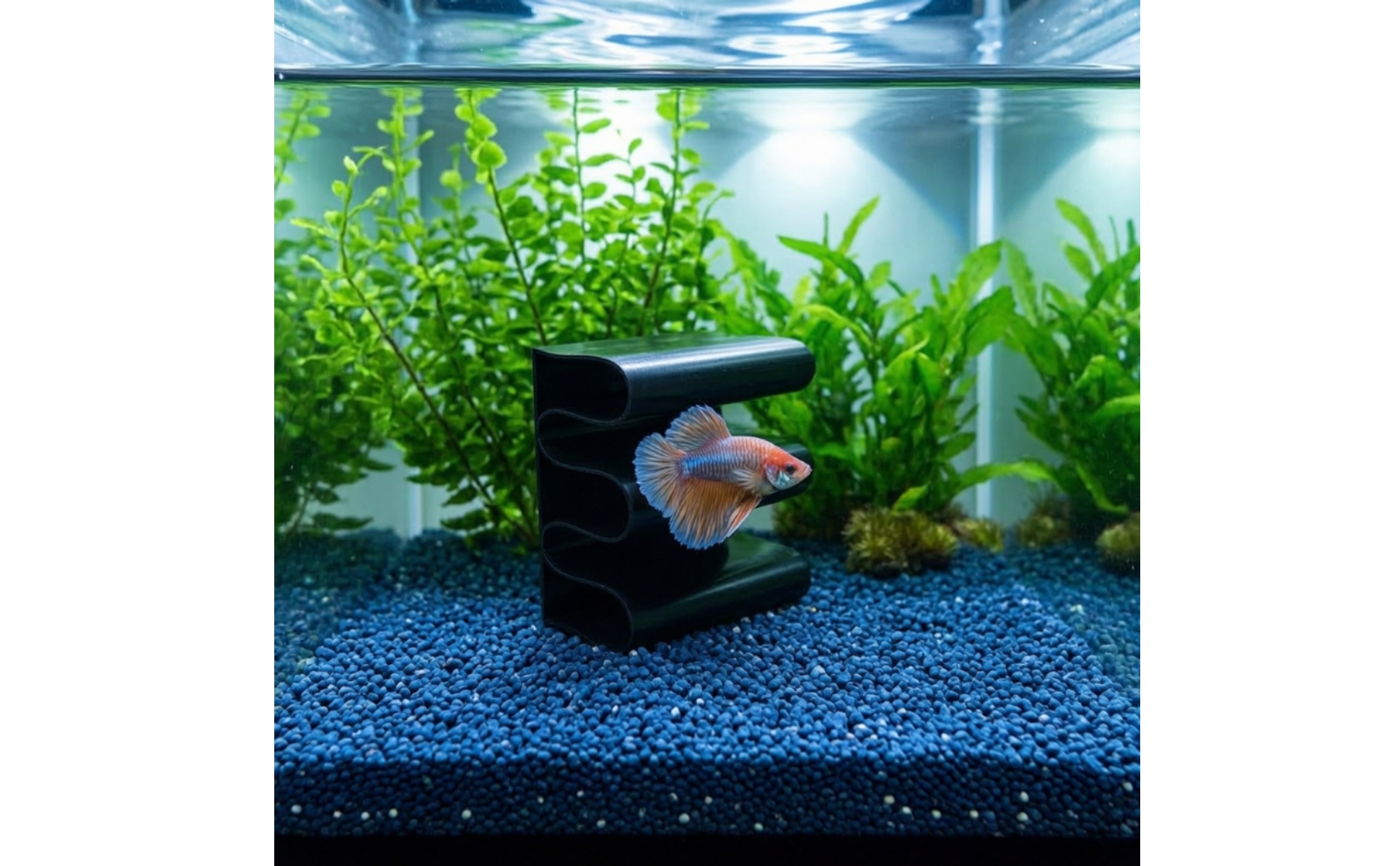 Betta Tunnel Multi-Layer Betta Aquatic Hideout Easy to Install