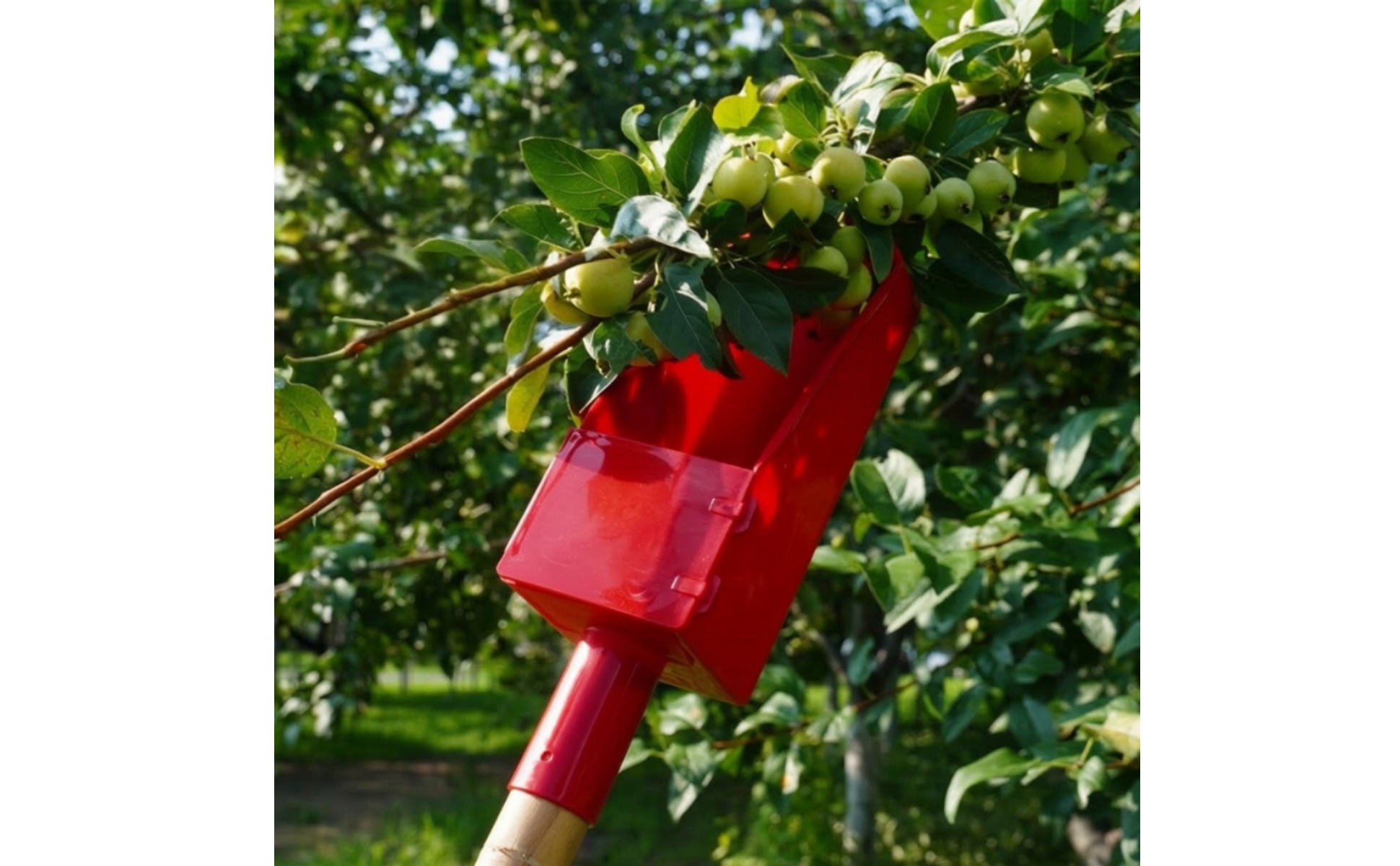 Fruit Picker with Lid Pole-Mounted Fruit Harvesting Scoop Lightweight
