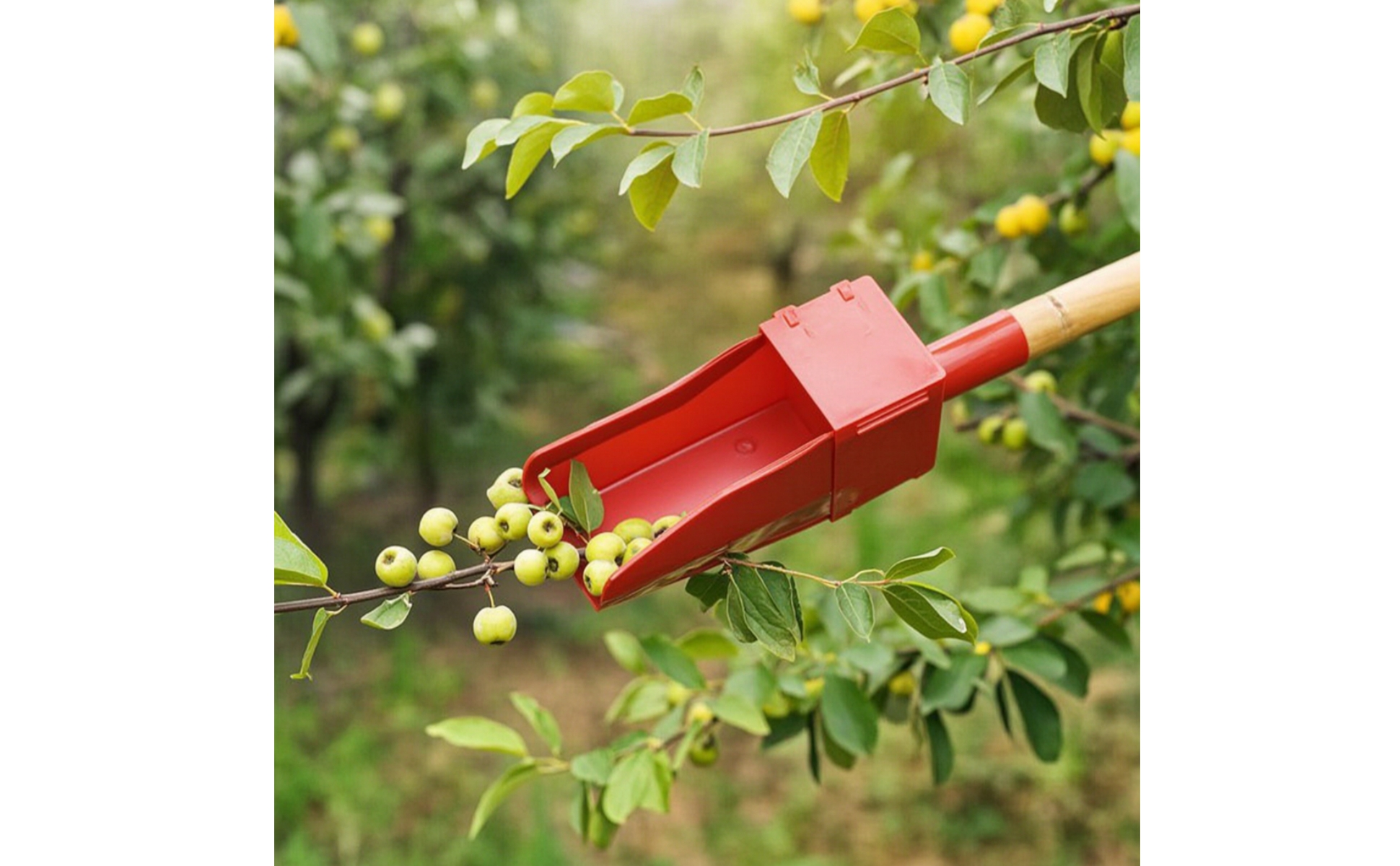 Fruit Picker with Lid Pole-Mounted Fruit Harvesting Scoop Lightweight
