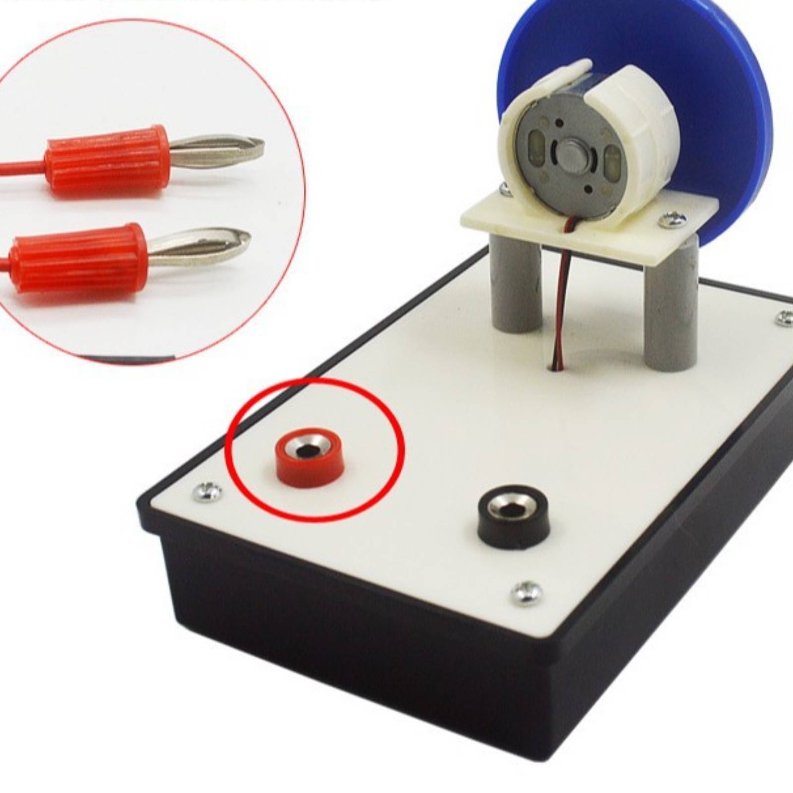Newton Scheibe mit elektrischem Antrieb Lernphysik Modell riemengetrieben - Produktbild 2