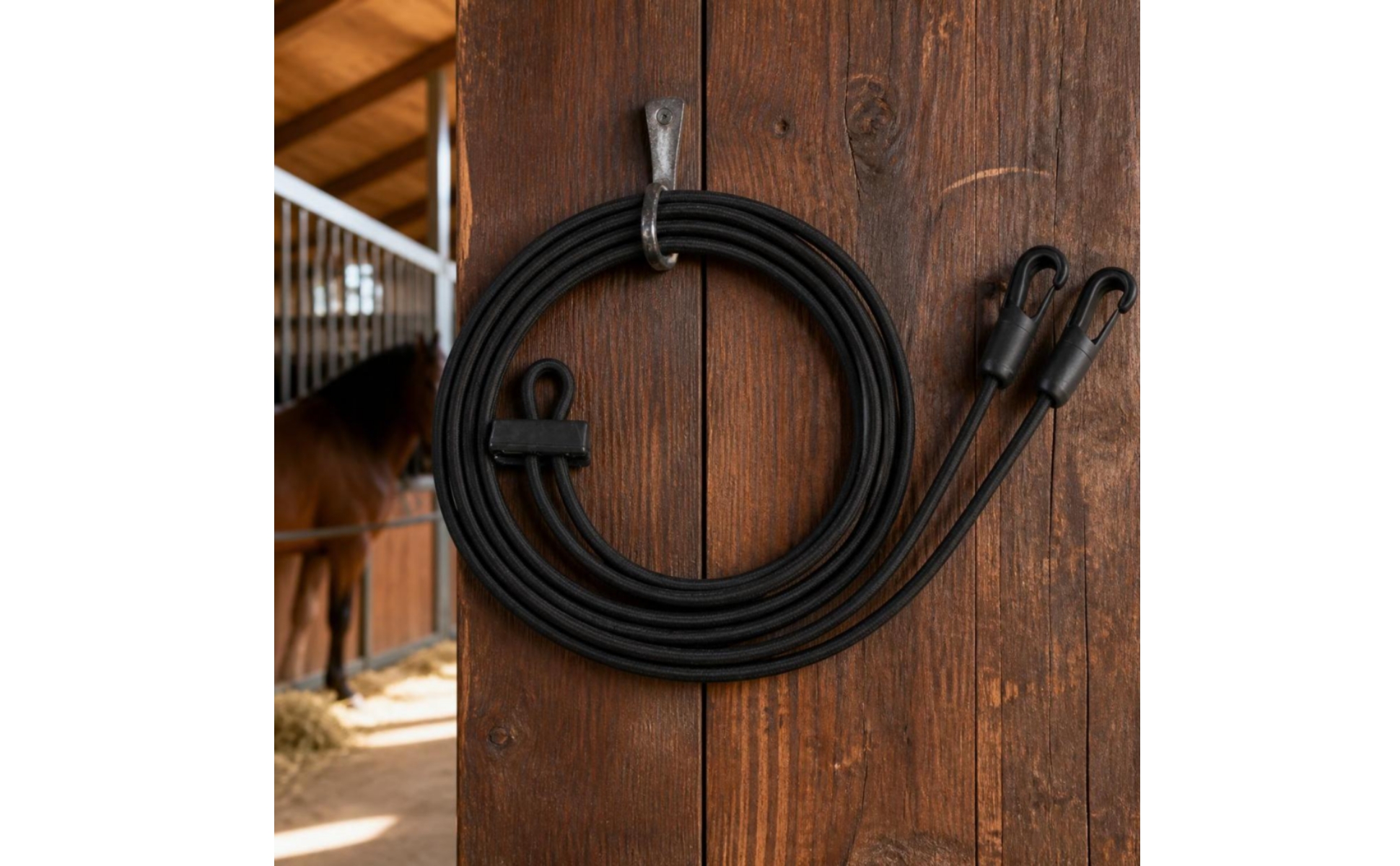 Elastischer Ausbinder mit Karabinerhaken elastisch elastischer Hilfszügel