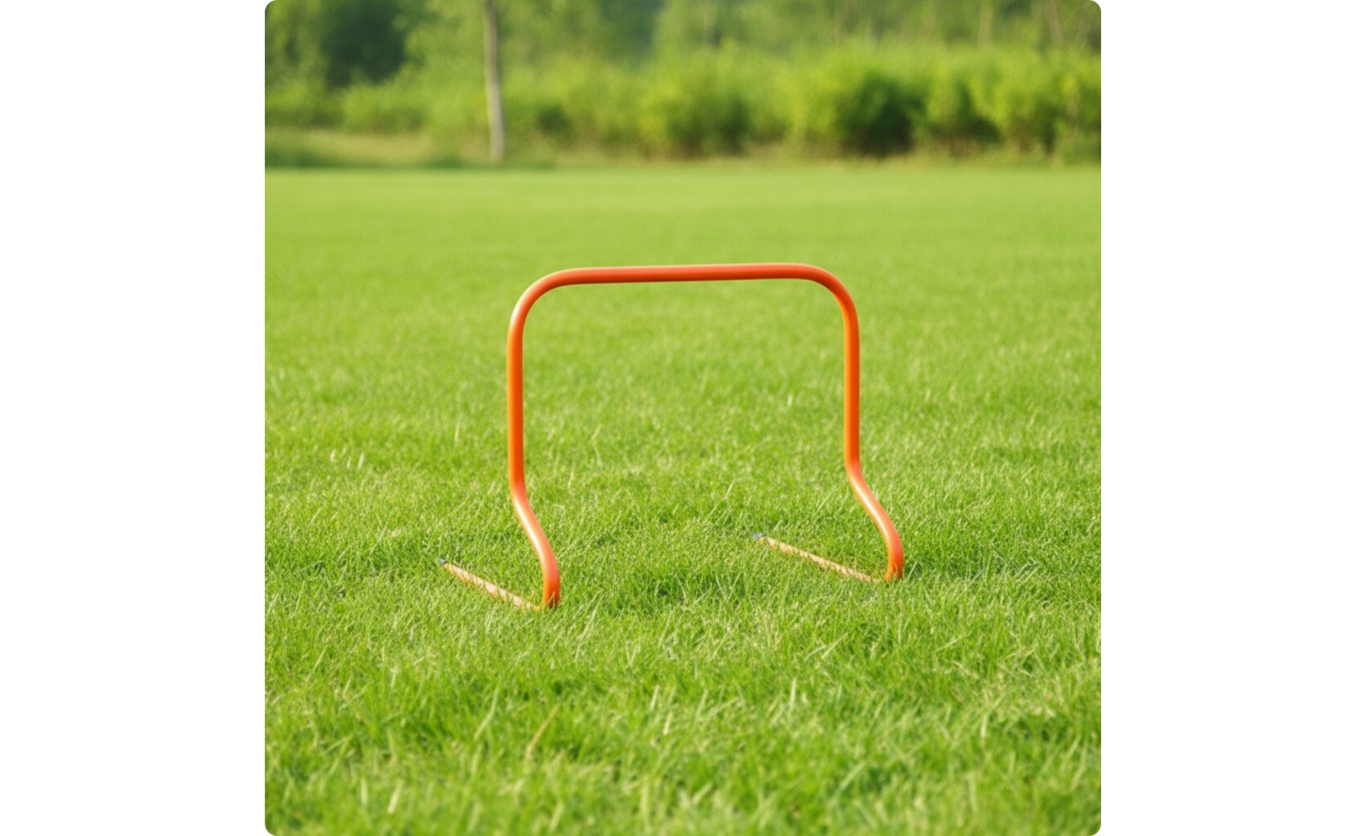 Athletic Training Hurdle Curved Speed Hurdle One-Piece for Athletes, Coaches