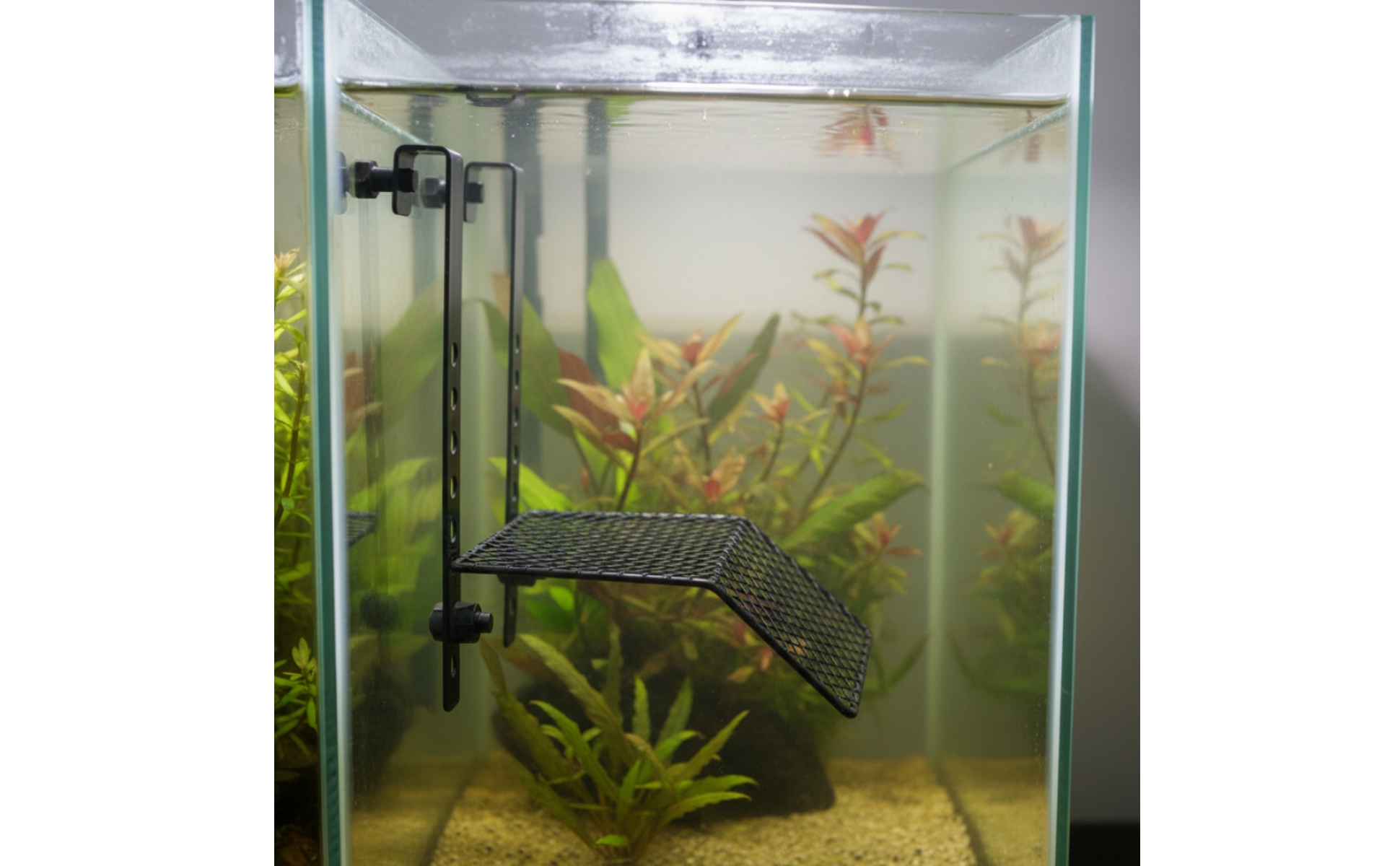 Turtle Basking Platform Hanging Aquarium Platform with Hooks Non-Slip