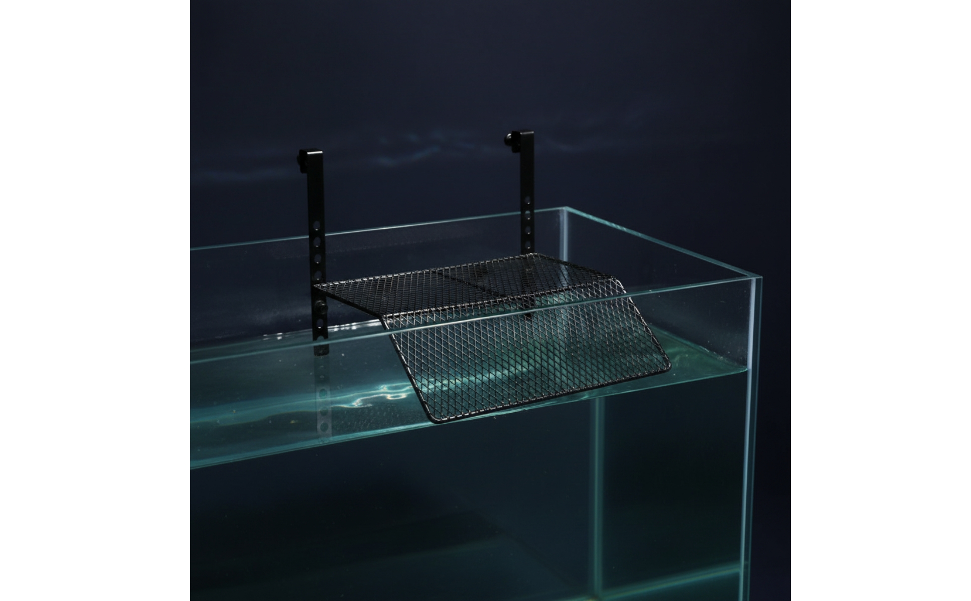 Turtle Basking Platform Hanging Aquarium Platform with Hooks Non-Slip