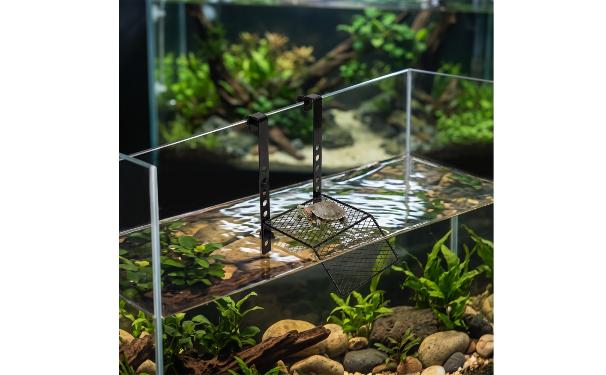 Turtle Basking Platform Hanging Aquarium Platform with Hooks Non-Slip