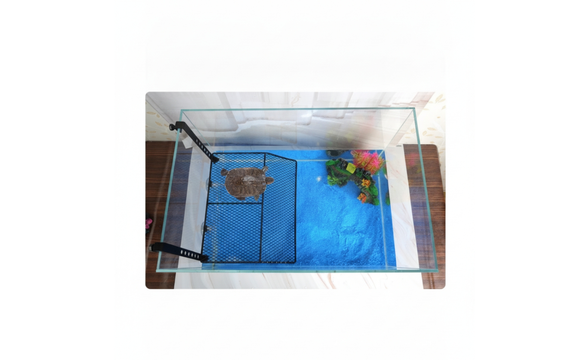 Turtle Basking Platform Hanging Aquarium Platform with Hooks Non-Slip