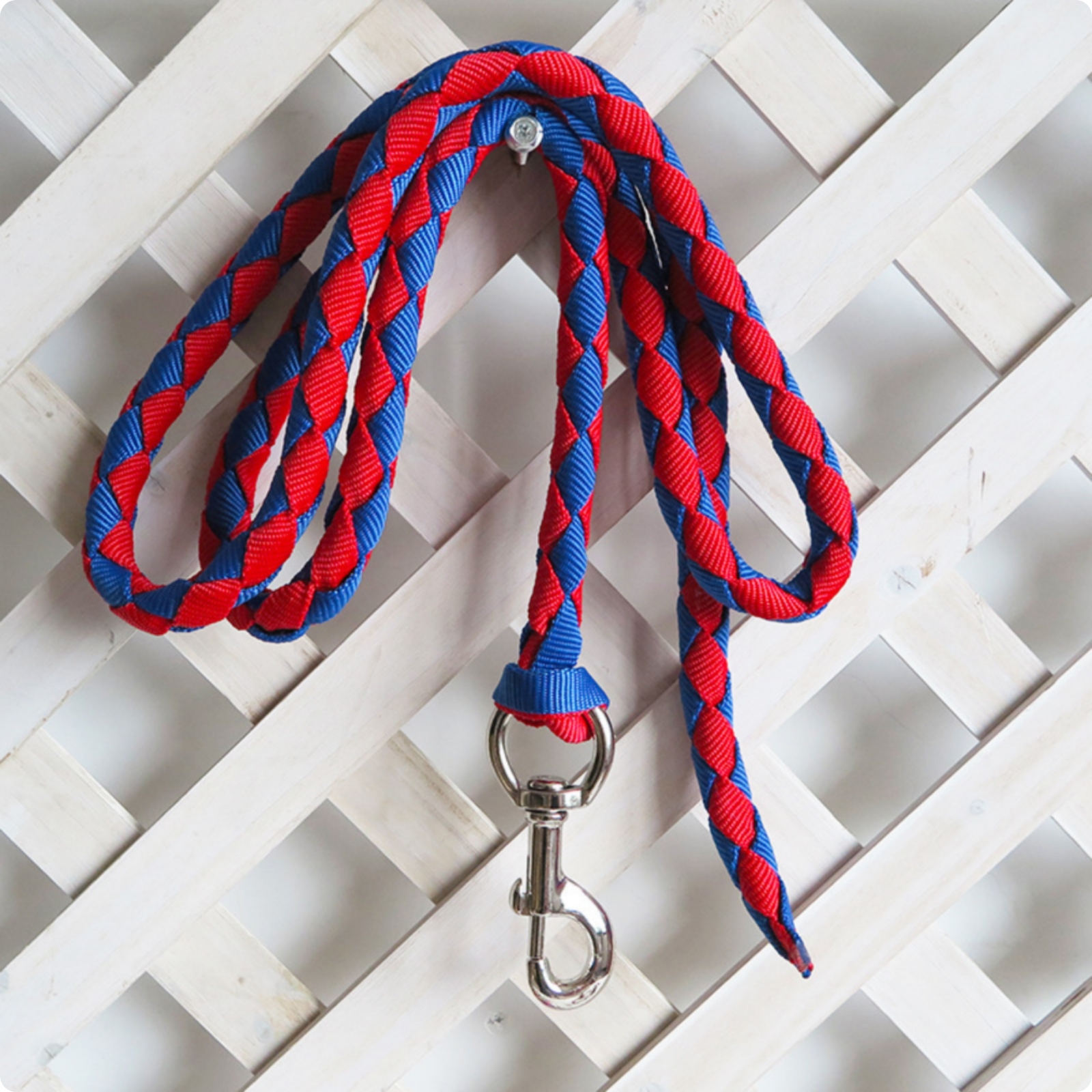 Braided Lead Rope with Safety Latch Heavy-Duty Tack Long-Lasting for Trainers