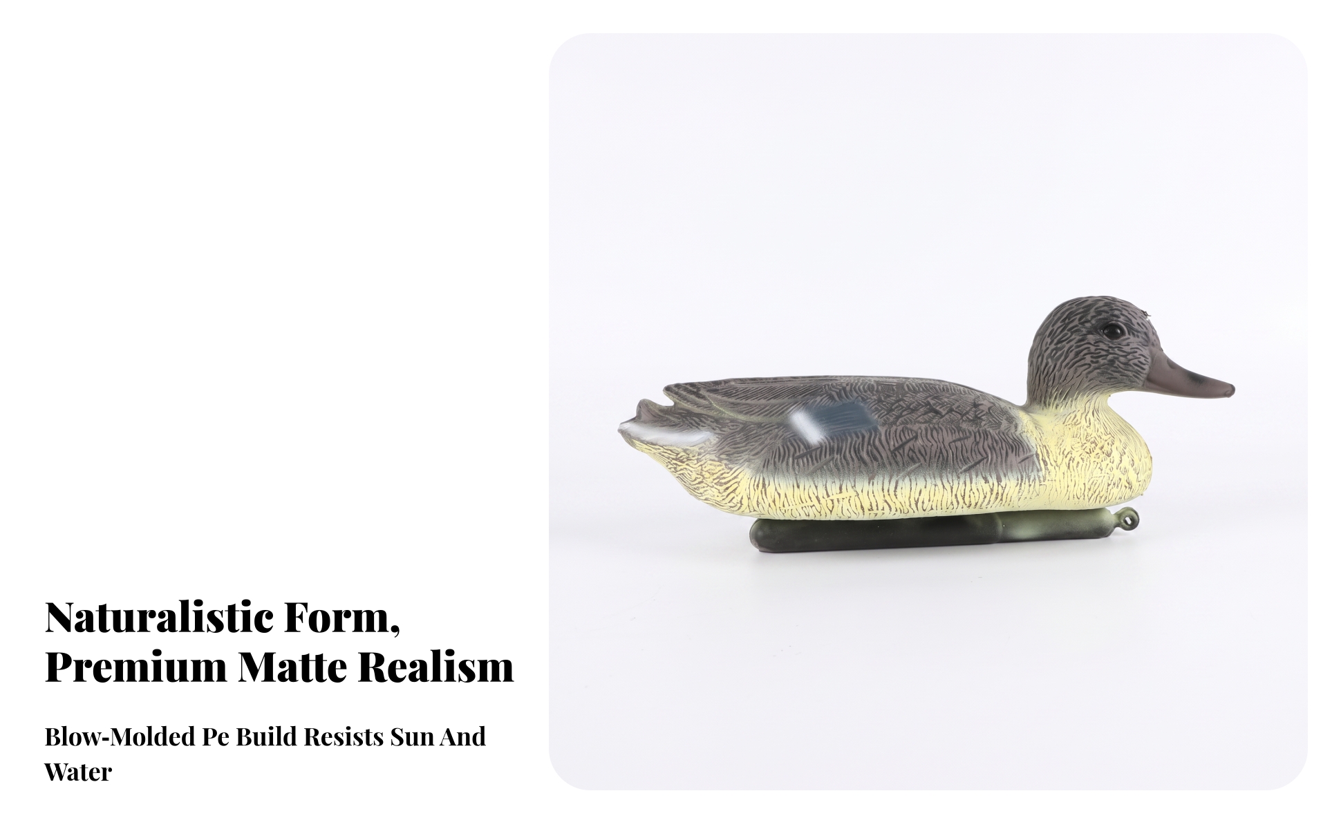 Floating Duck Decoy Stable Duck Decoy with Weighted Base Lifelike for Hunters