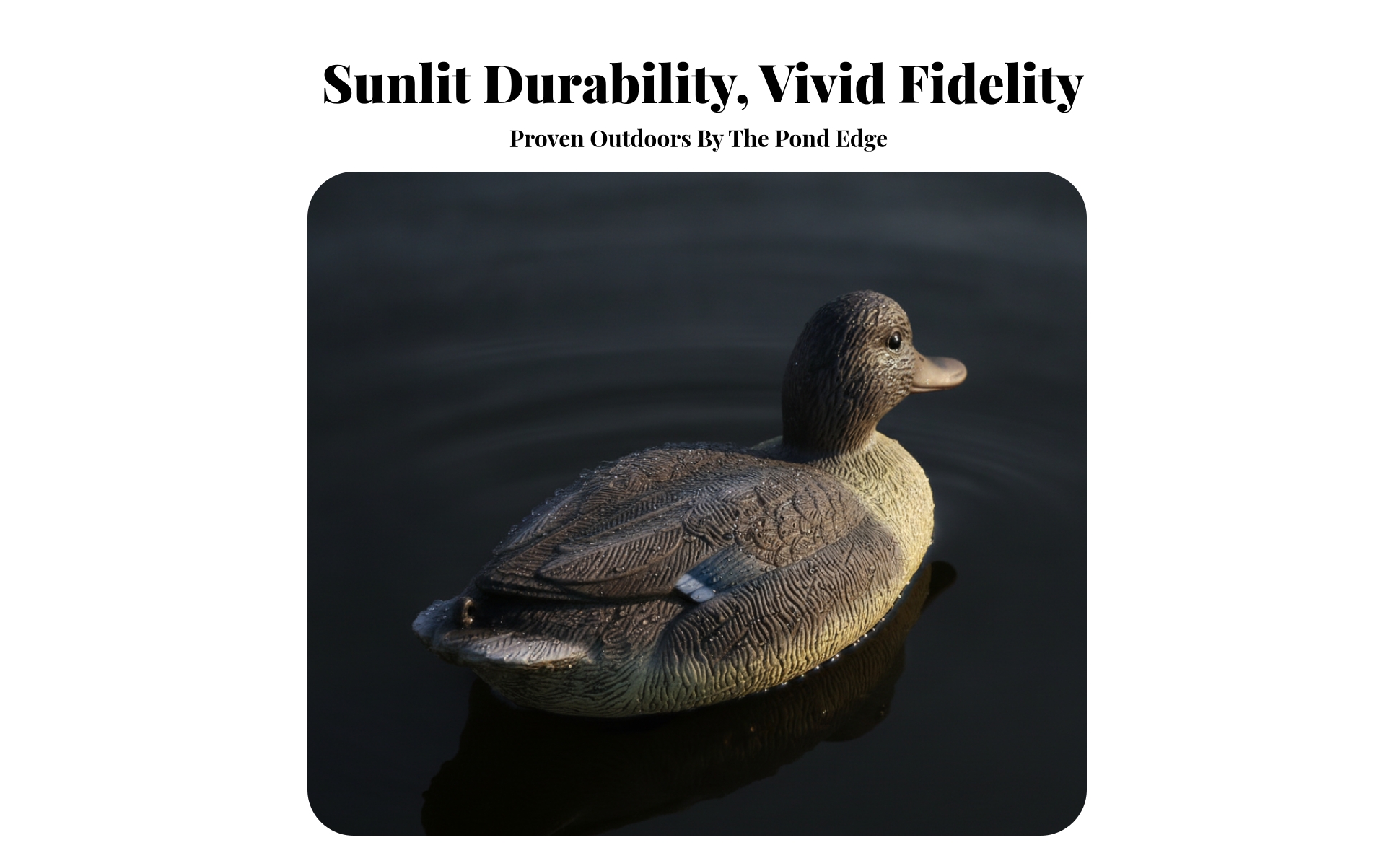 Floating Duck Decoy Stable Duck Decoy with Weighted Base Lifelike for Hunters