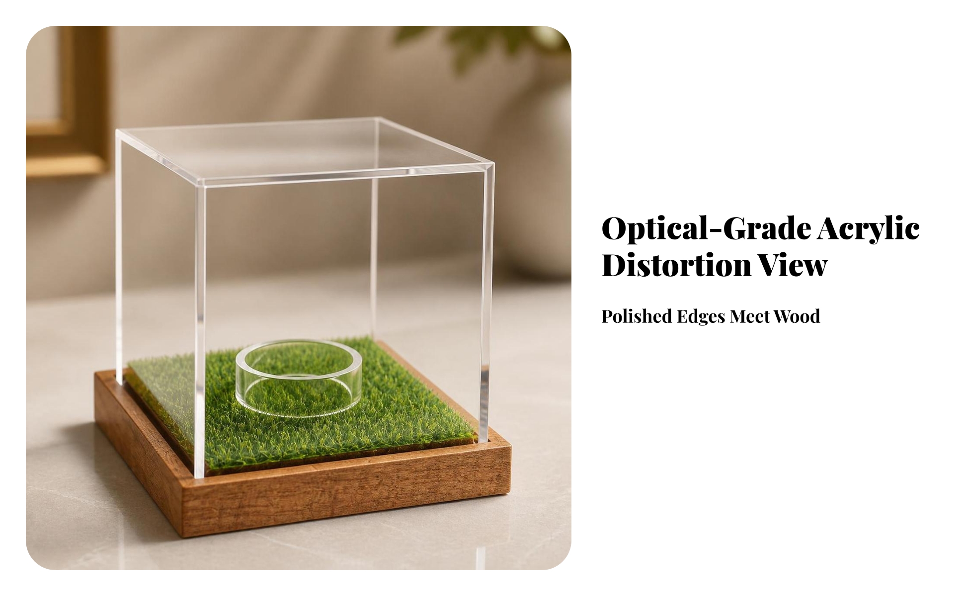 Golf Ball Display Case High-Clarity for Trophy Shelf, Office Desk, Collectors