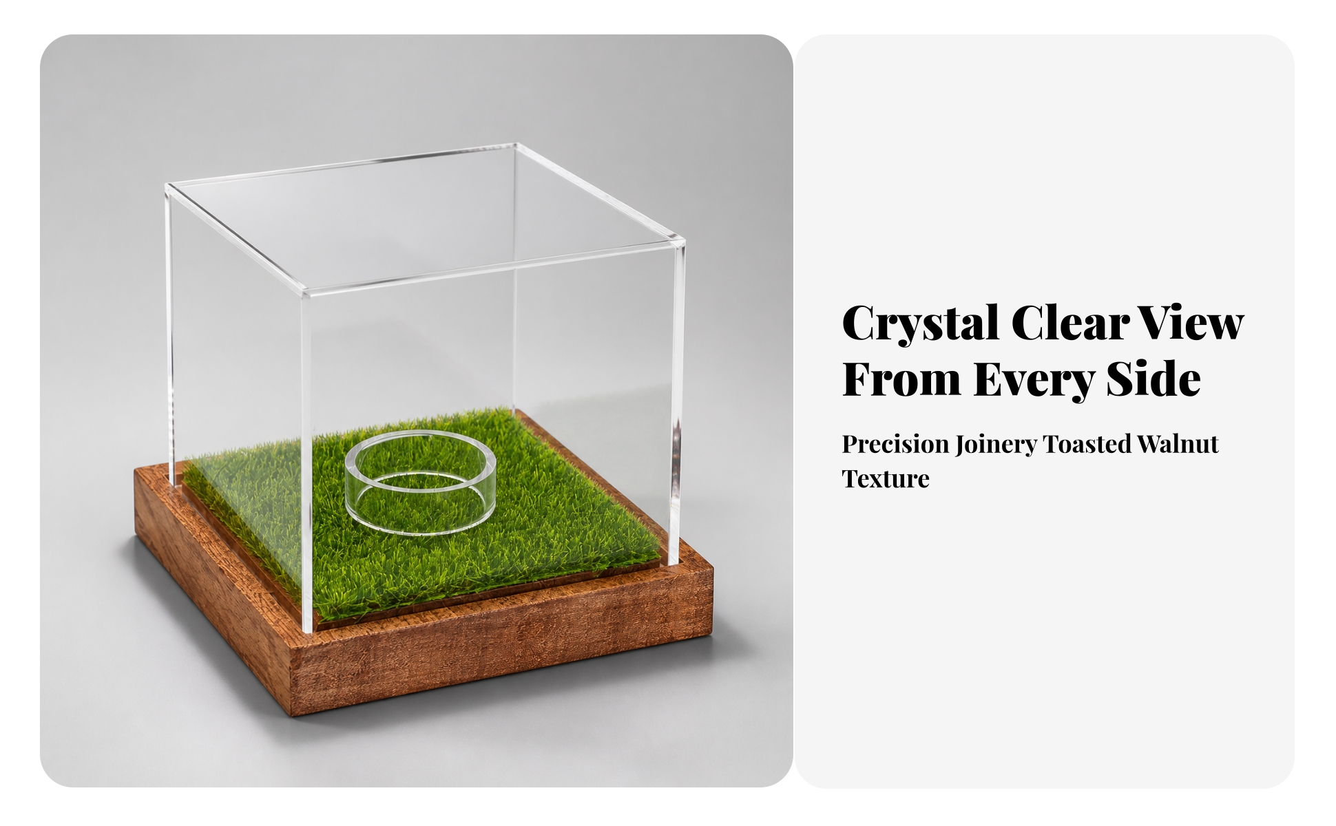 Golf Ball Display Case High-Clarity for Trophy Shelf, Office Desk, Collectors