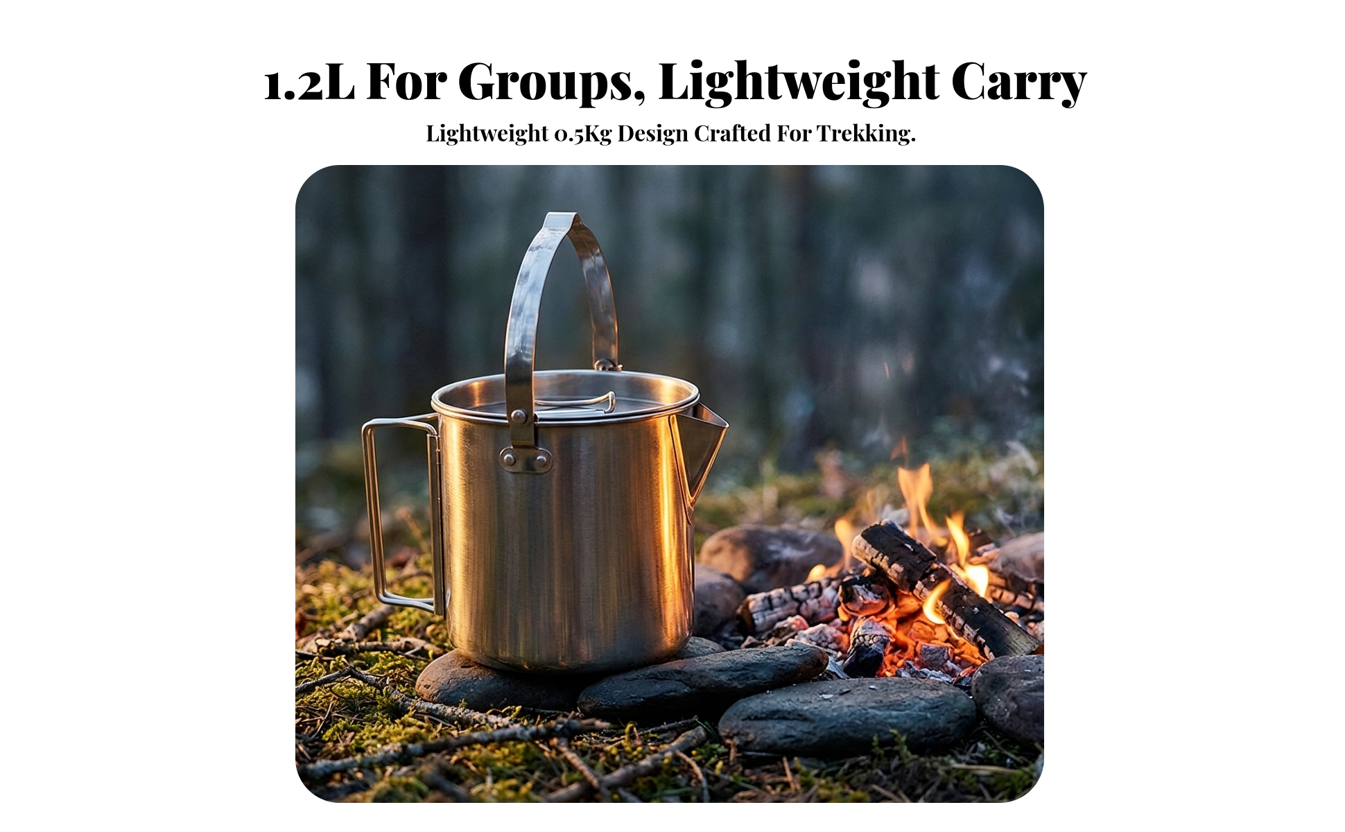 Stainless Steel Kettle with Carry Handle Robust Camping Tea Kettle with Lid