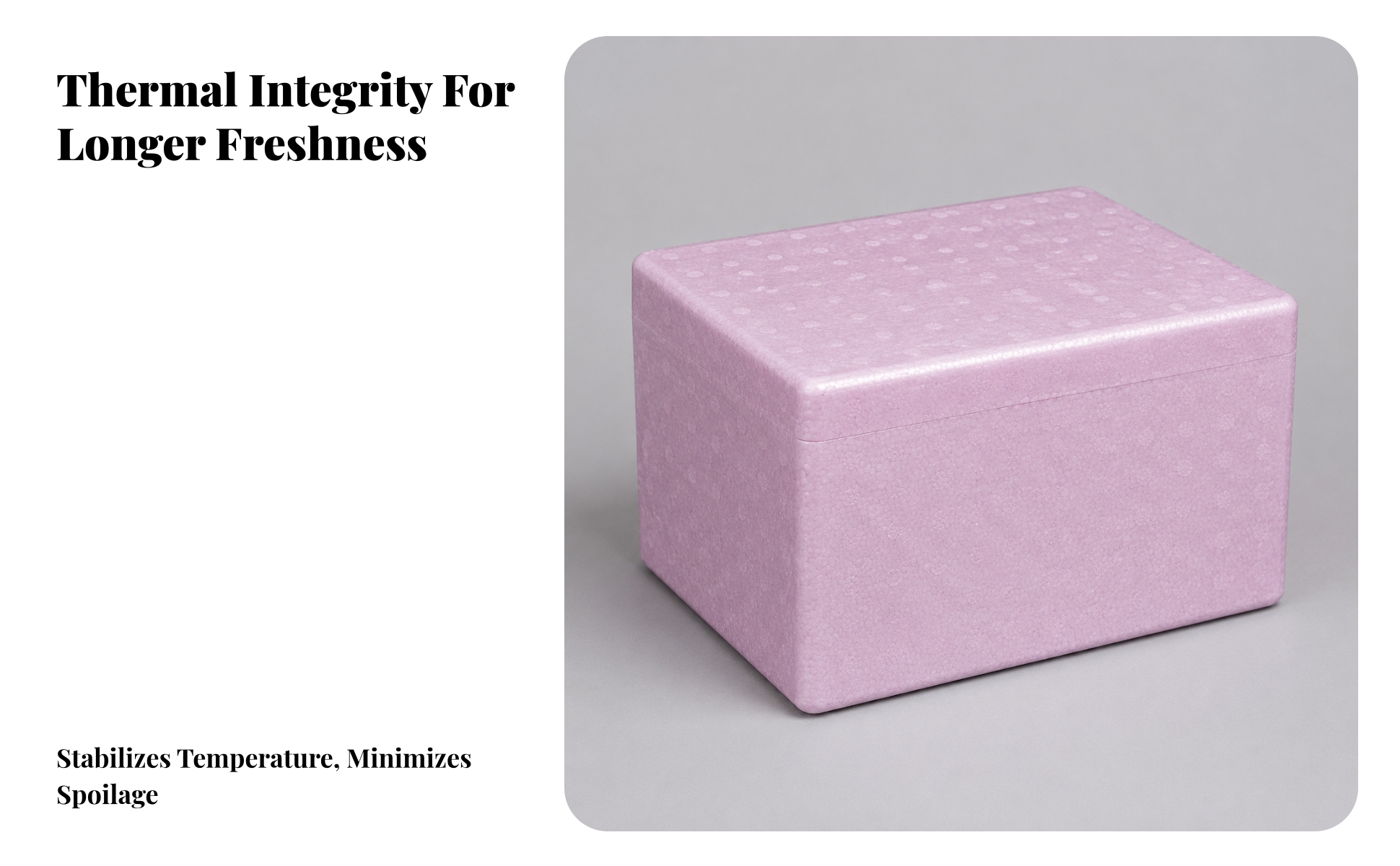 Container Lightweight Expanded Polypropylene Insulated Box