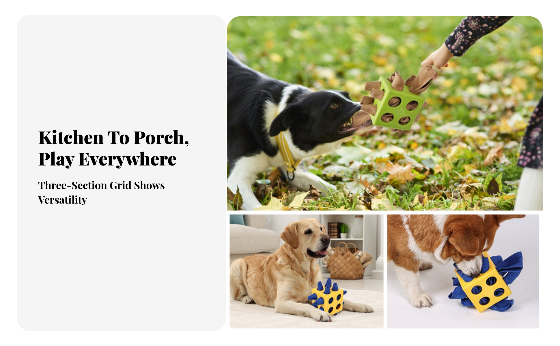 Dog Toy Sniffing Cube-Shaped Interactive Dog Toy Chewable for Indoor Play, Dogs