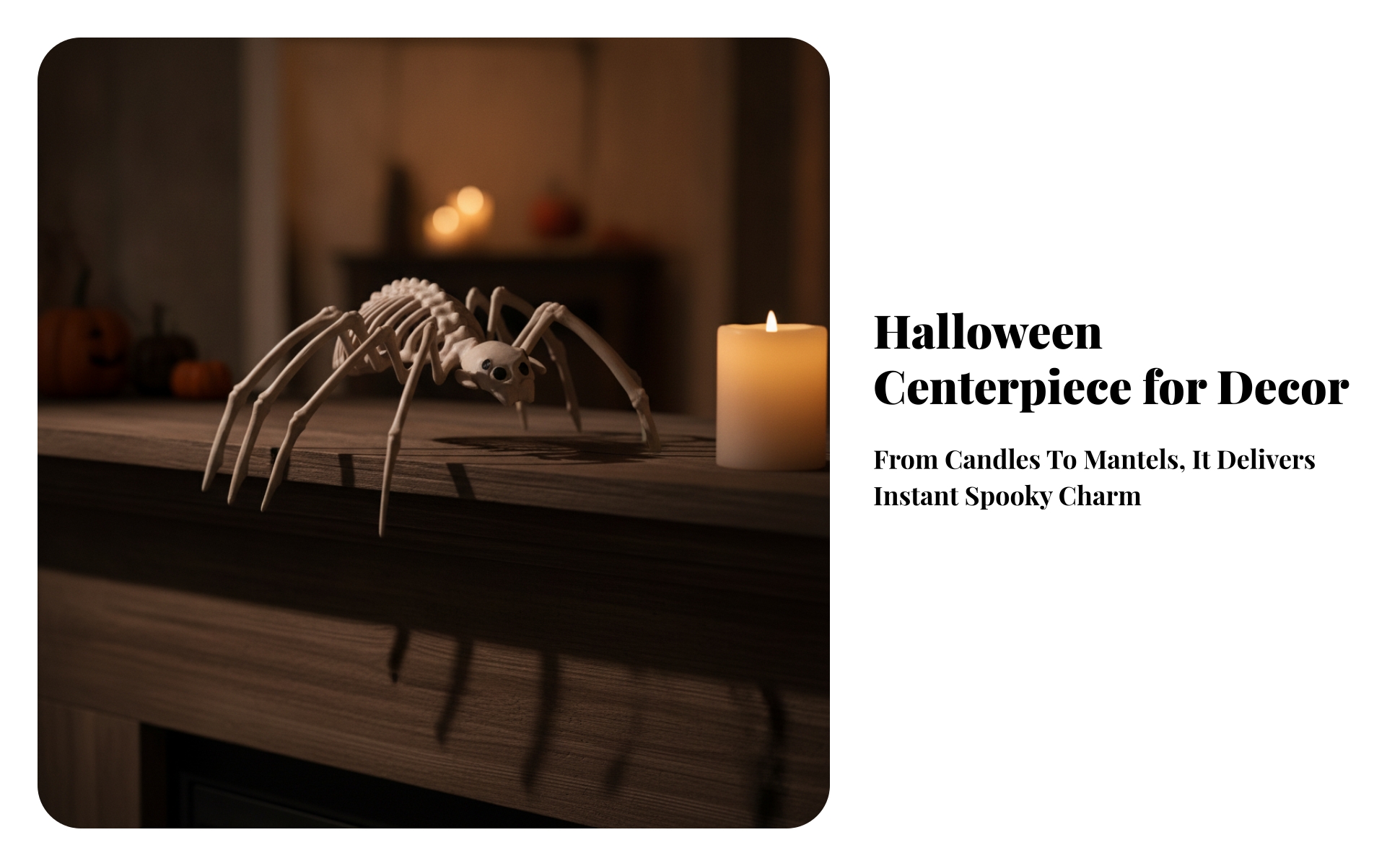 Halloween Skeleton Arachnid Decoration Realistic for Haunted House, Party Hosts