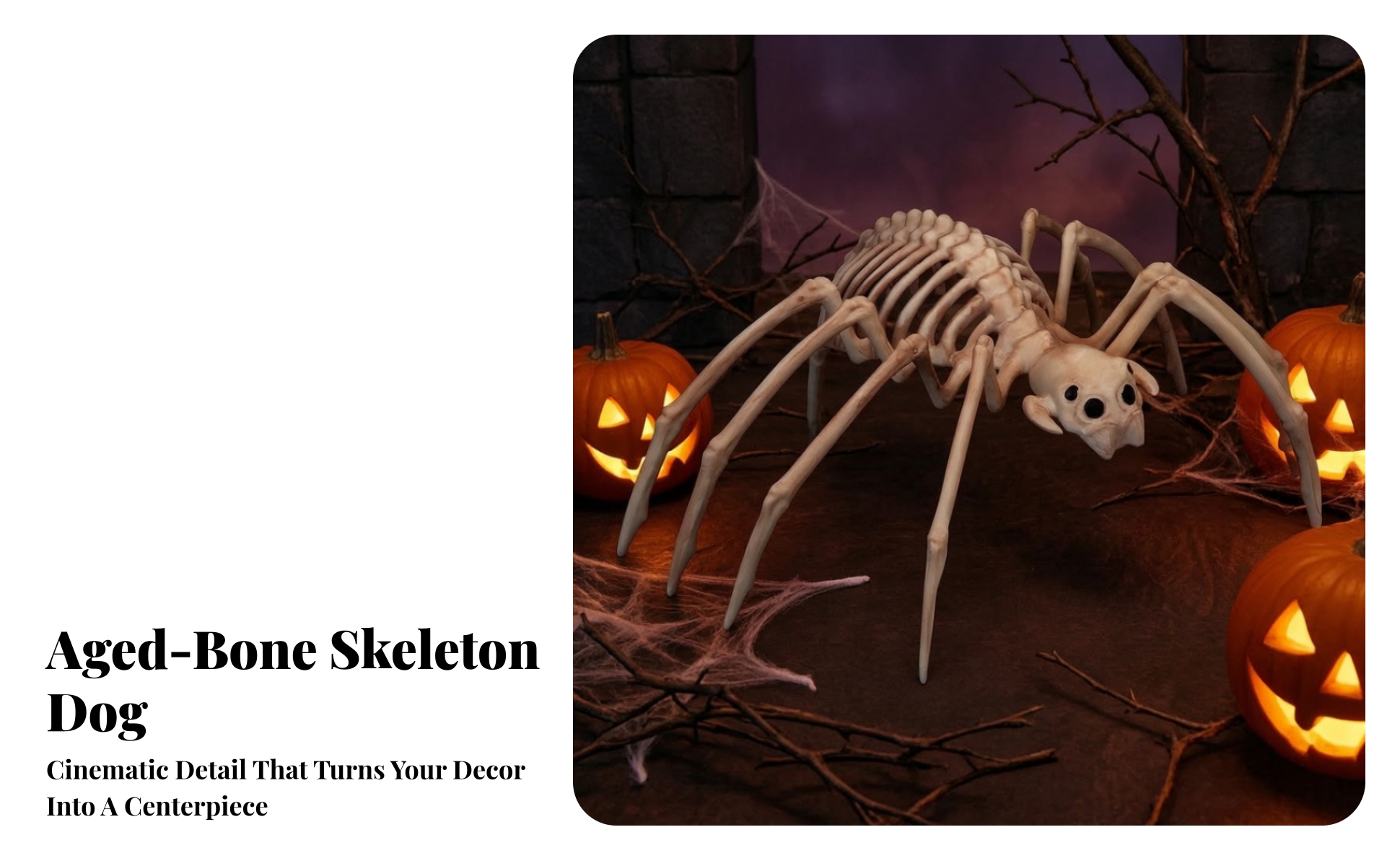 Halloween Skeleton Arachnid Decoration Realistic for Haunted House, Party Hosts