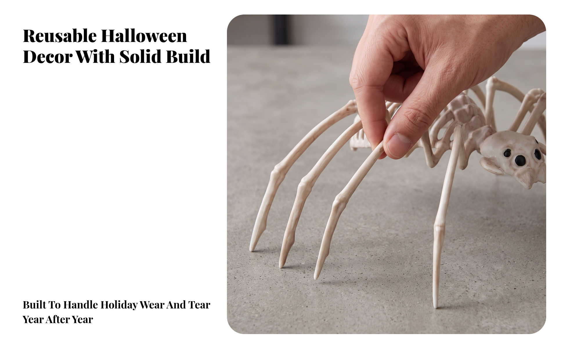 Halloween Skeleton Arachnid Decoration Realistic for Haunted House, Party Hosts