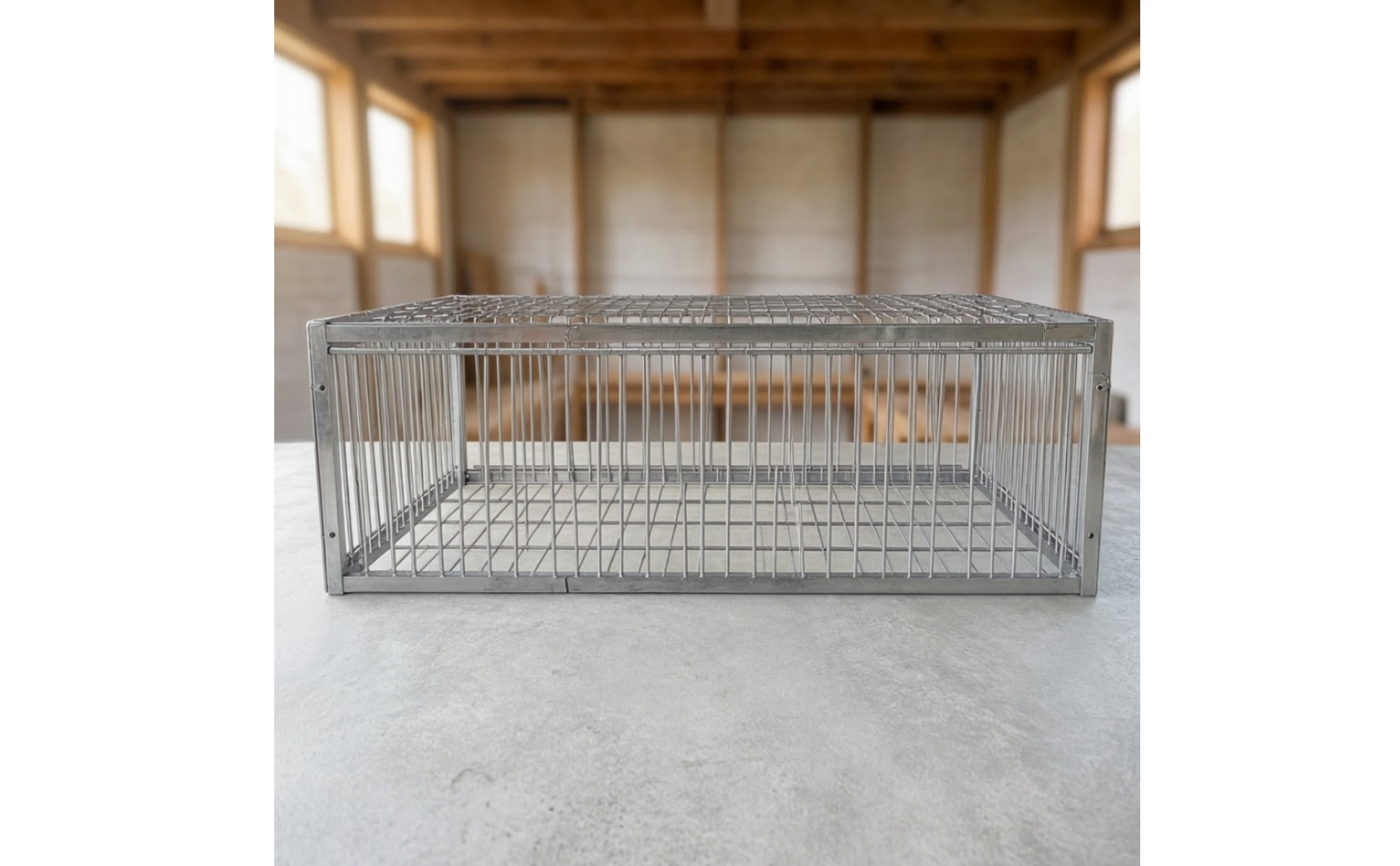 Cage à Pigeons sans Assemblage Cage à Pigeons En Fer Ventilé pour Pigeonnier