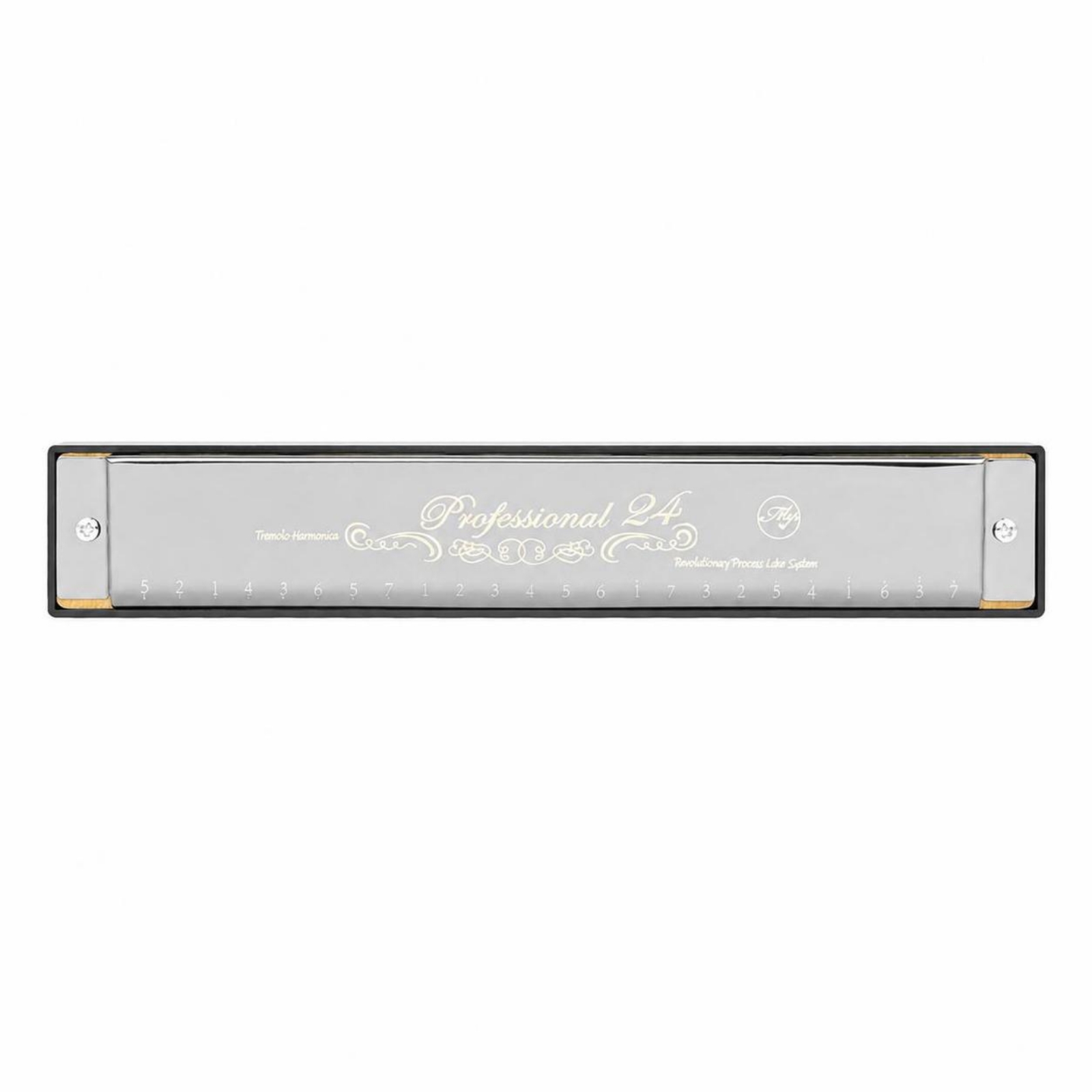 24-Hole Harmonica Beginner-Friendly Harmonica with Case Stainless-Steel