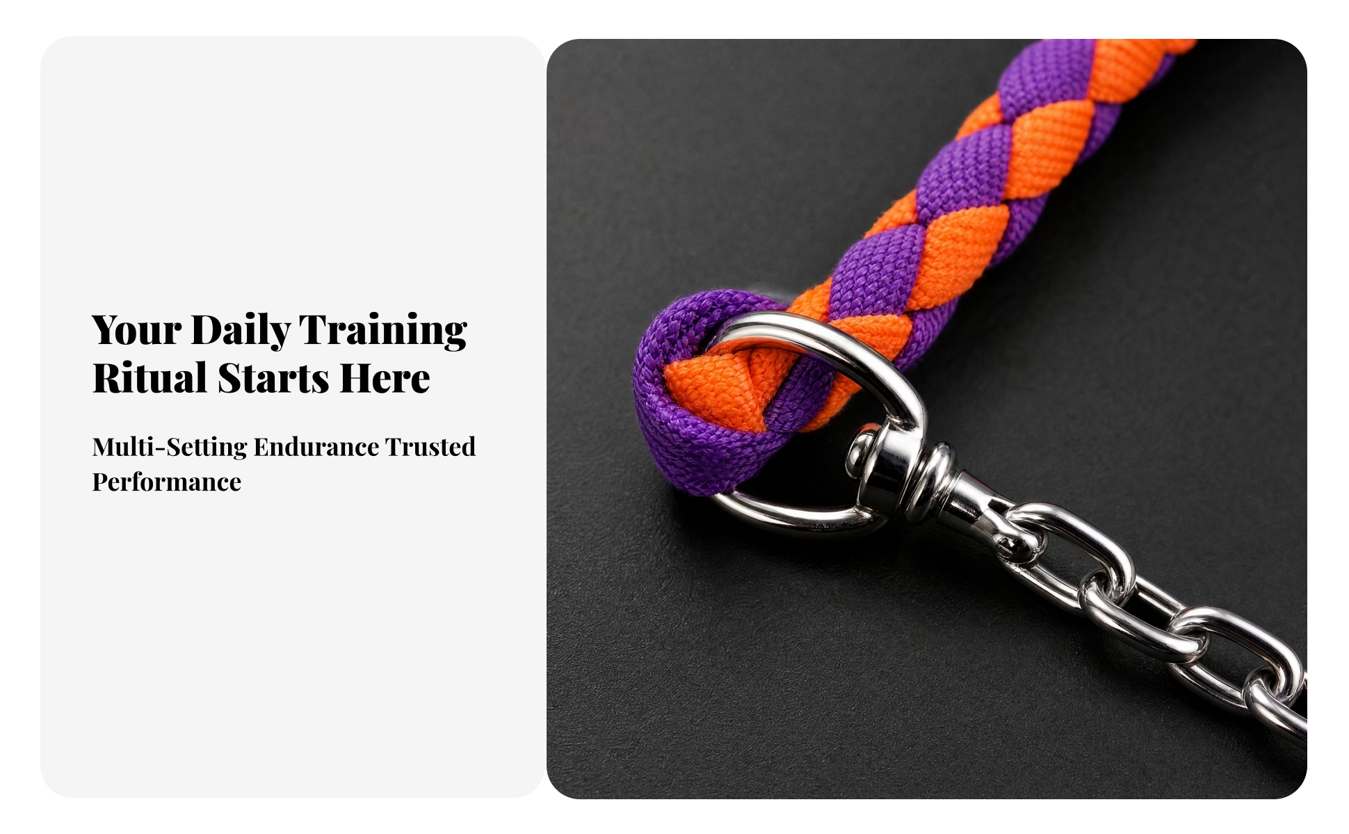 Lead Rope with Chain Long-Lasting Nylon Lead Rope with Snap Hook Heavy-Duty